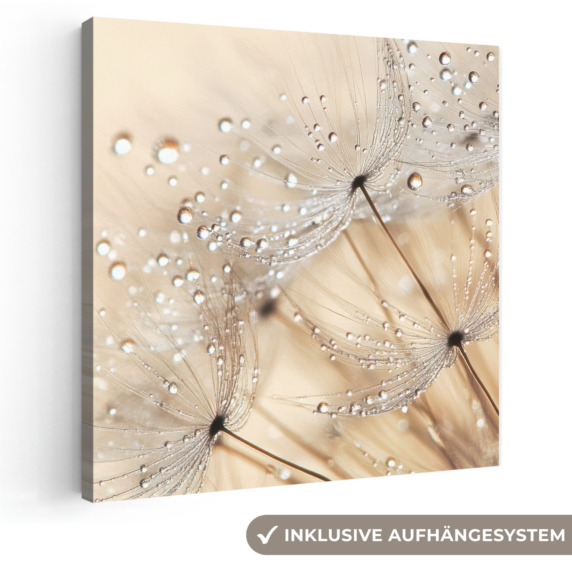 OneMillionCanvasses® Leinwandbild Löwenzahn - Abstrakt - Natur - Beige, Fotodruck (1 St), Wandbild, Deko Schlafzimmer Wohnzimmer Flur 20x20 cm