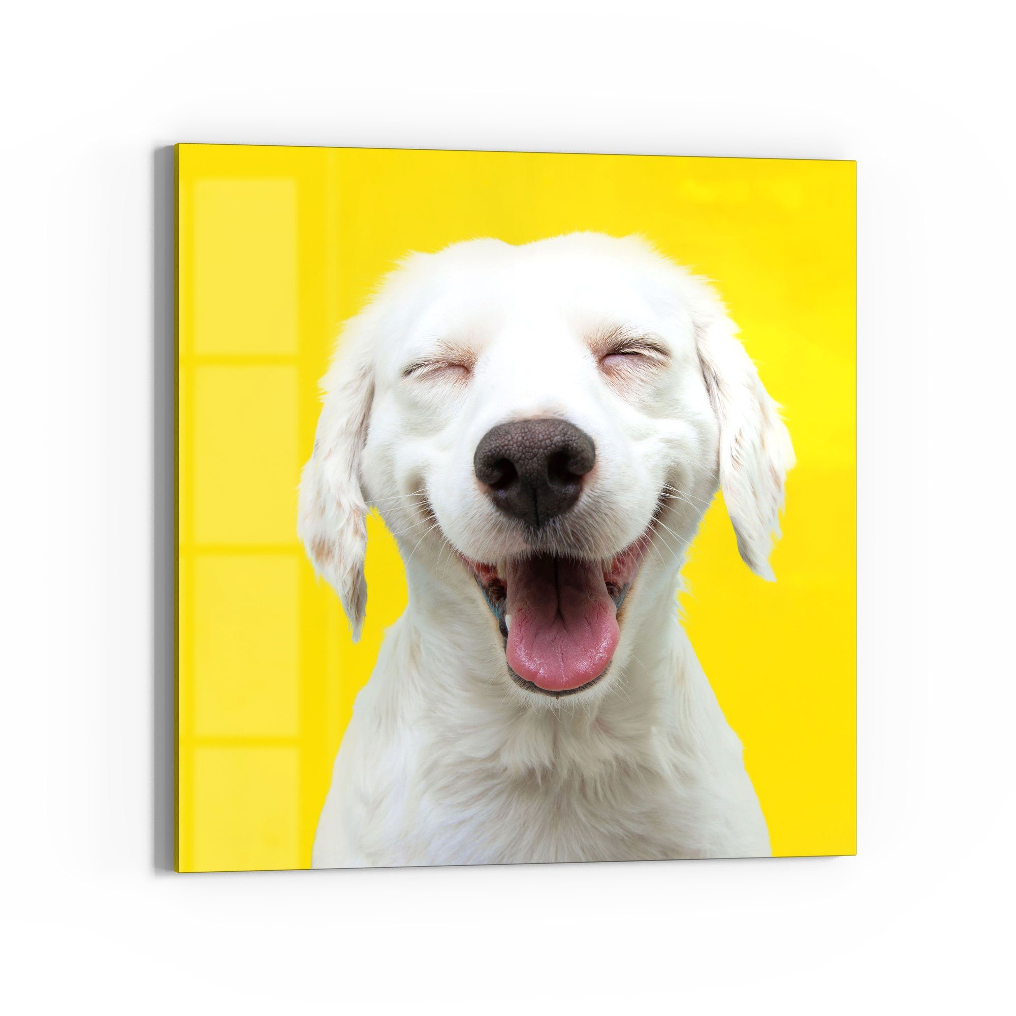DEQORI Magnettafel 'Lachender Hund', Whiteboard Pinnwand beschreibbar