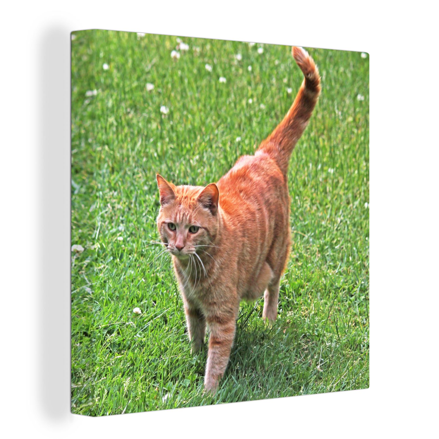 OneMillionCanvasses® Leinwandbild Katze - Rot - Katze - Mädchen - Kinder - Jungen - Kind, (1 St), Leinwand Bilder für Wohnzimmer Schlafzimmer bunt