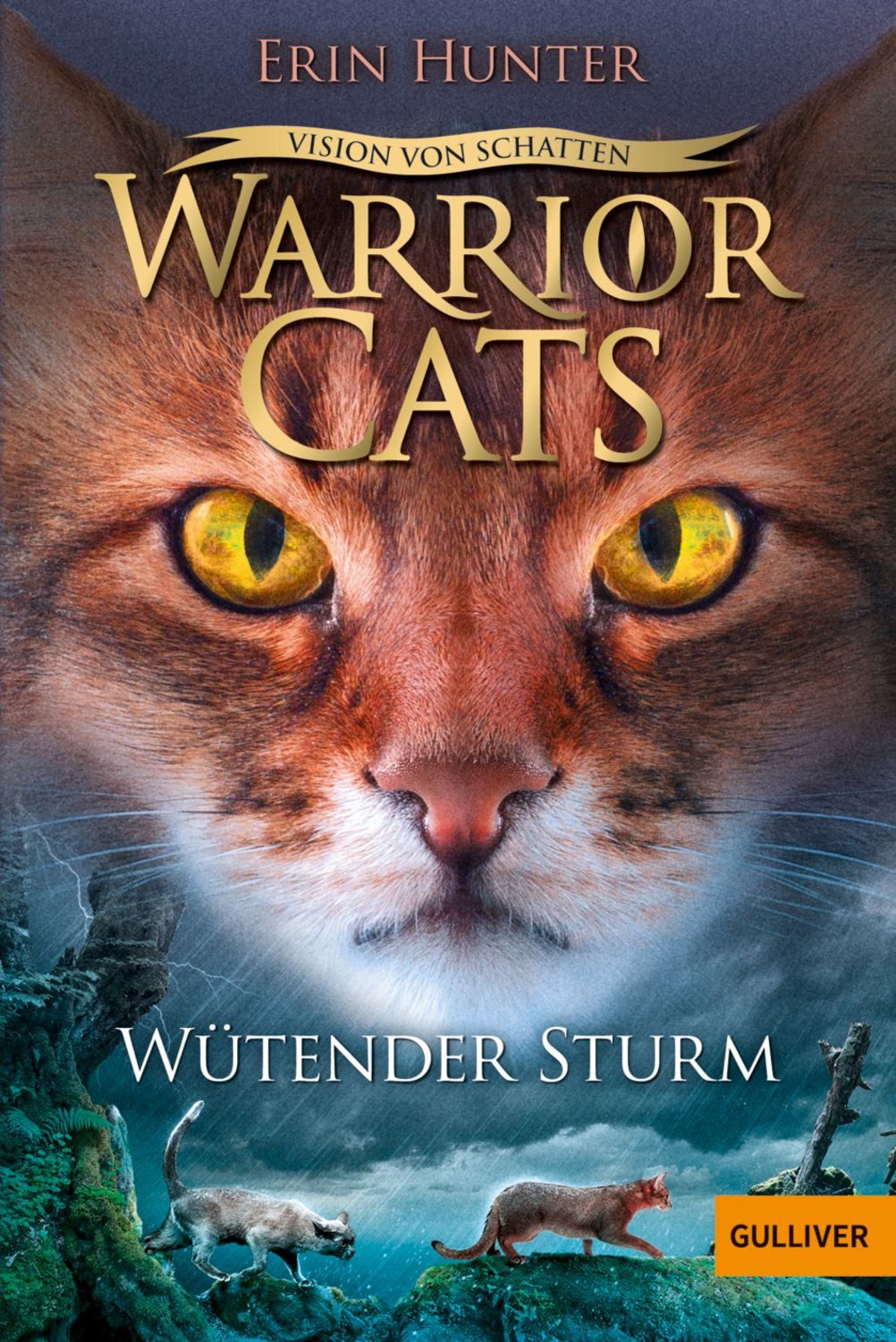 Warrior Cats - Vision von Schatten. Wütender Sturm / Erin Hunter