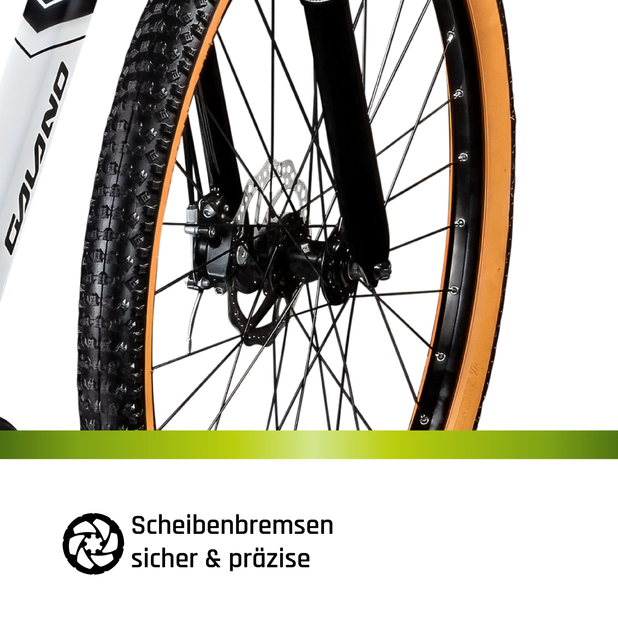 Galano Mountainbike Toxic 29", 21 Gang, Kettenschaltung, Mountainbike Hardtail 29 Zoll MTB Fahrrad
