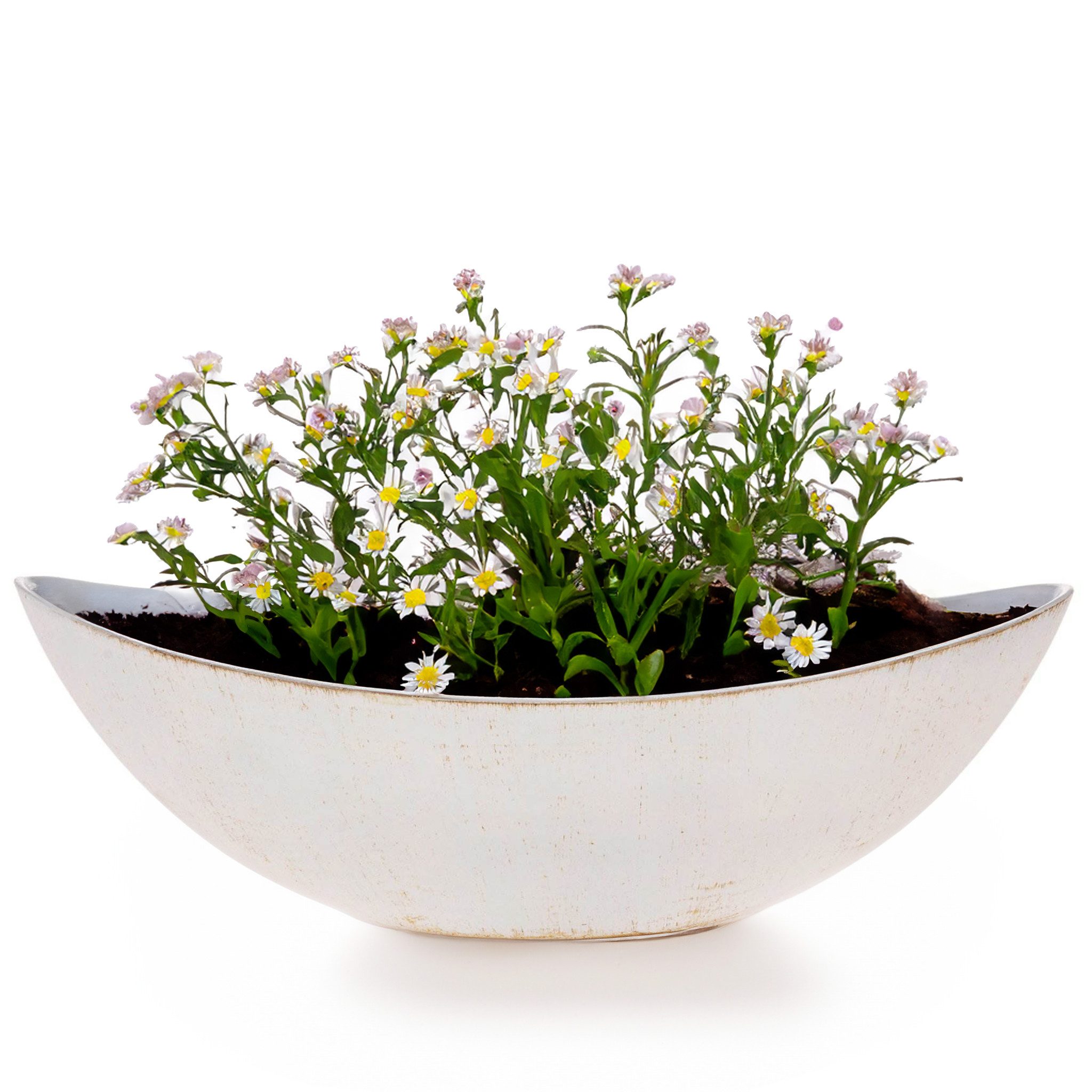 matches21 HOME & HOBBY Blumentopf Große Vintage Outdoor Pflanzschale oval 3 günstig online kaufen