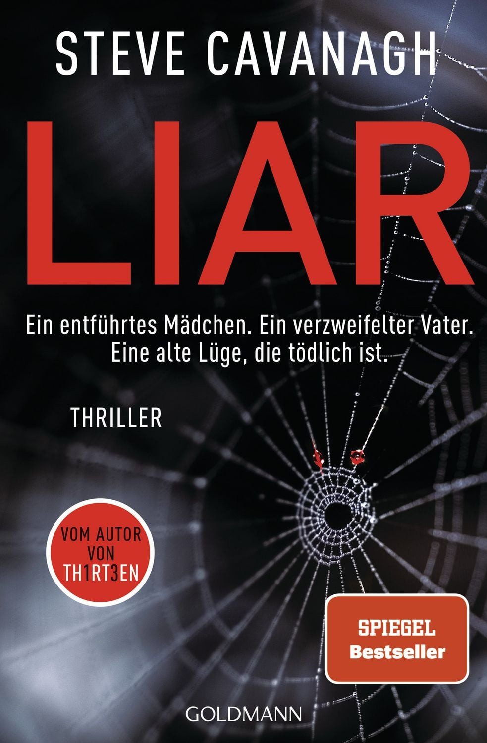 Belletristik Liar Thriller Steve Cavanagh