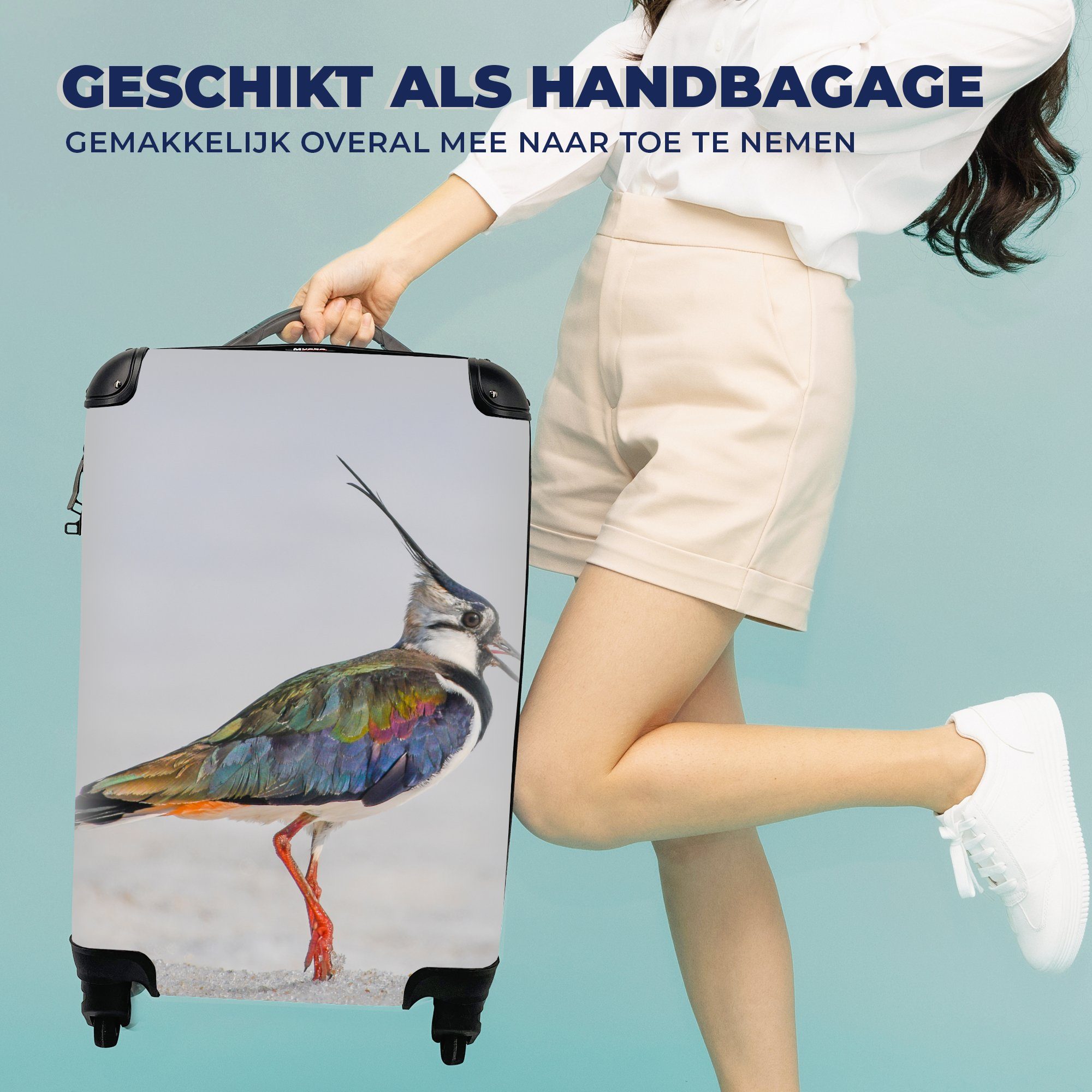 MuchoWow Handgepäckkoffer Vogel mit Reisetasche - 4 Kiebitz, Reisekoffer Rollen, - rollen, Trolley, Tiere - für Sand Handgepäck Ferien