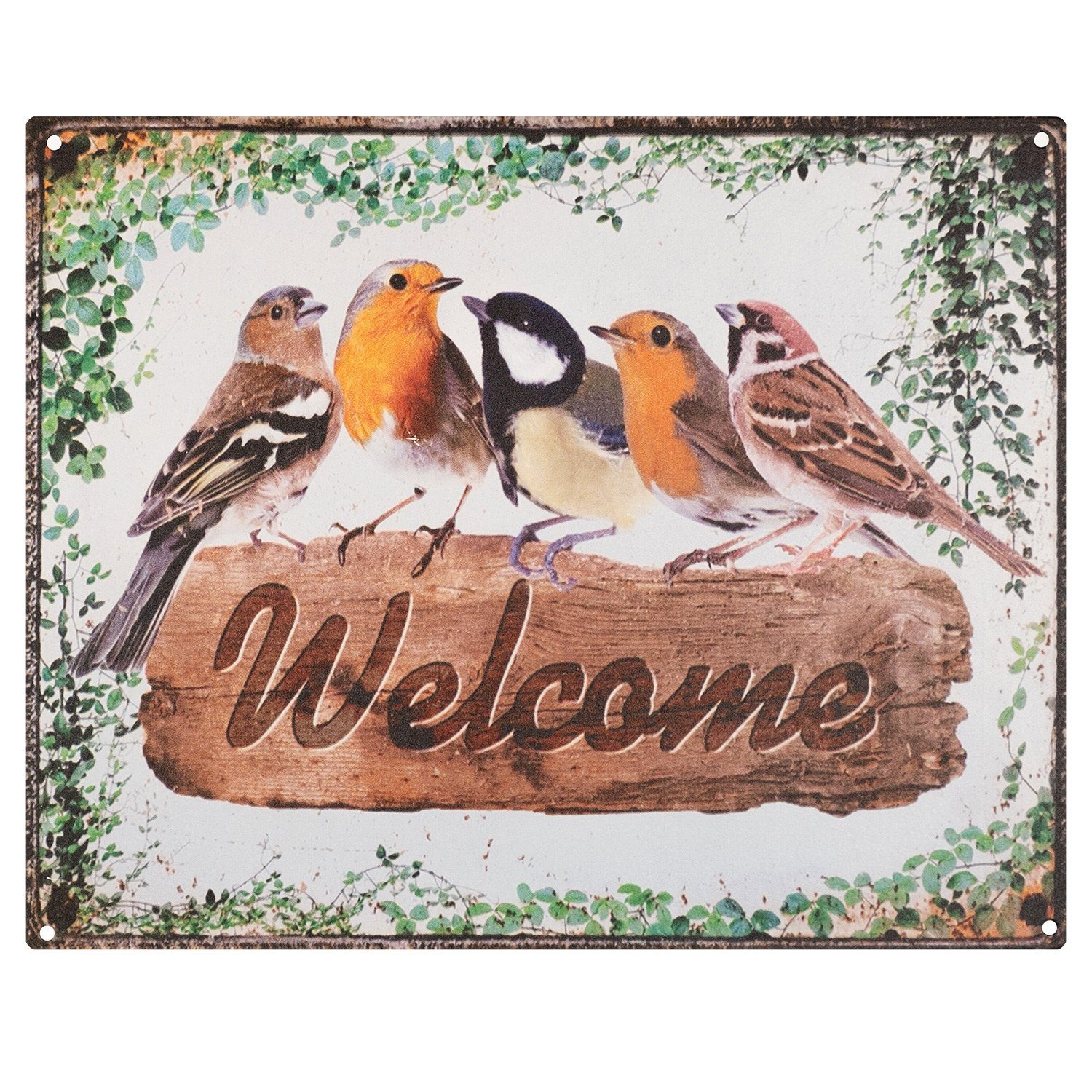 Metallschild Blechschild Welcome Schild Vögel