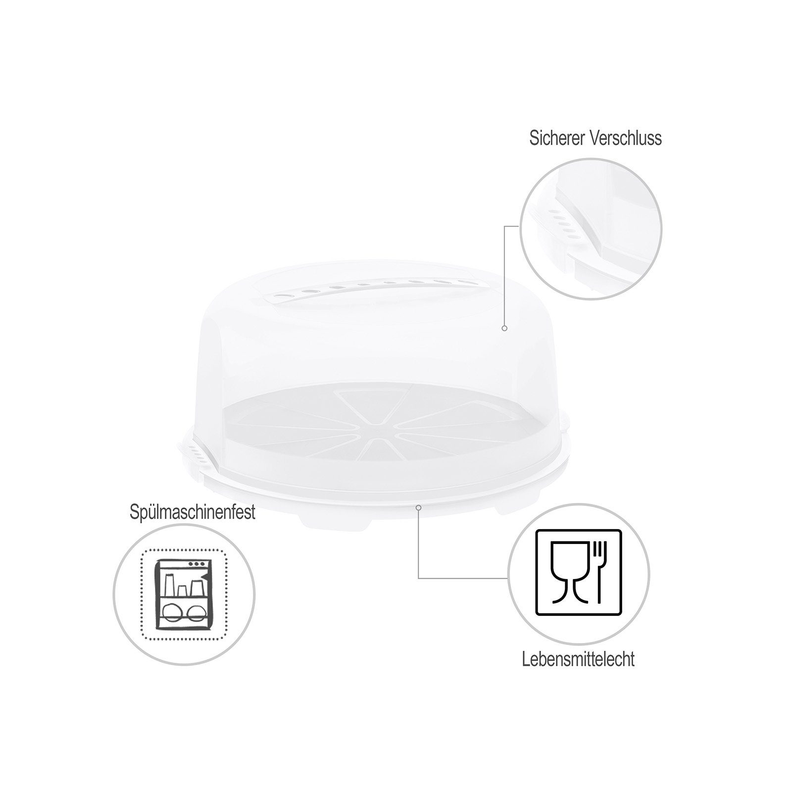 ROTHO Aufbewahrungssystem FRESH hoch Kuchentransportbox mit Haube und Griff