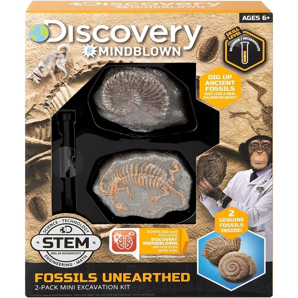 Discovery Adventures Discovery Kids Lernspielzeug Mini Ausgrabungsset 2, Teile Fossilienset Forschungsset mit Meißel