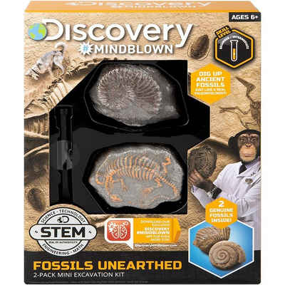 Discovery Kids Lernspielzeug Mini Ausgrabungsset 2, Teile Fossilienset Forschungsset mit Meißel
