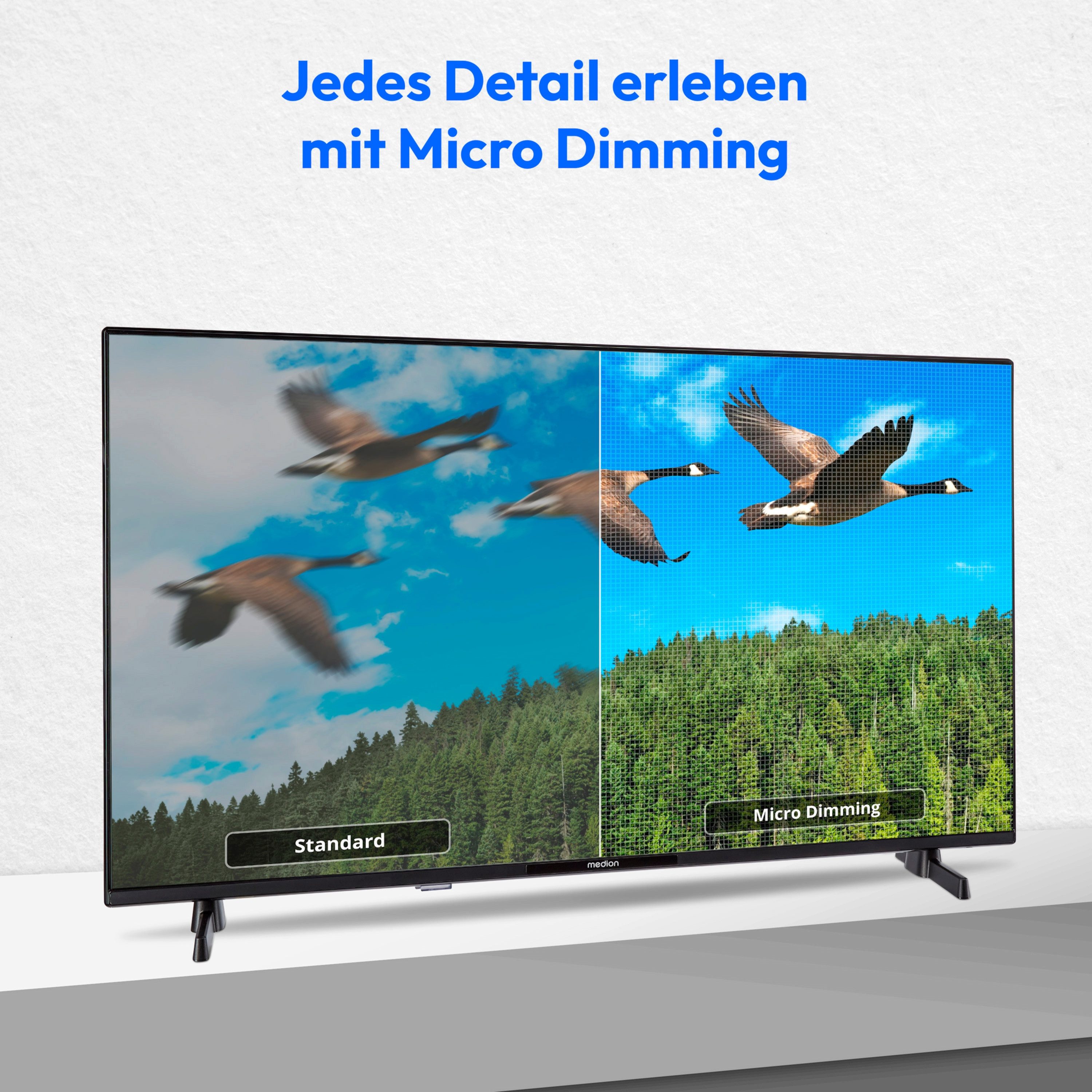 Medion® MD832100 LCD-LED Fernseher (80 cm/32 Zoll, 1080p Full HD, Smart-TV, HDR10, DTS HD, Virtual X, Playstore, Netflix, HBO Max, Prime Video)