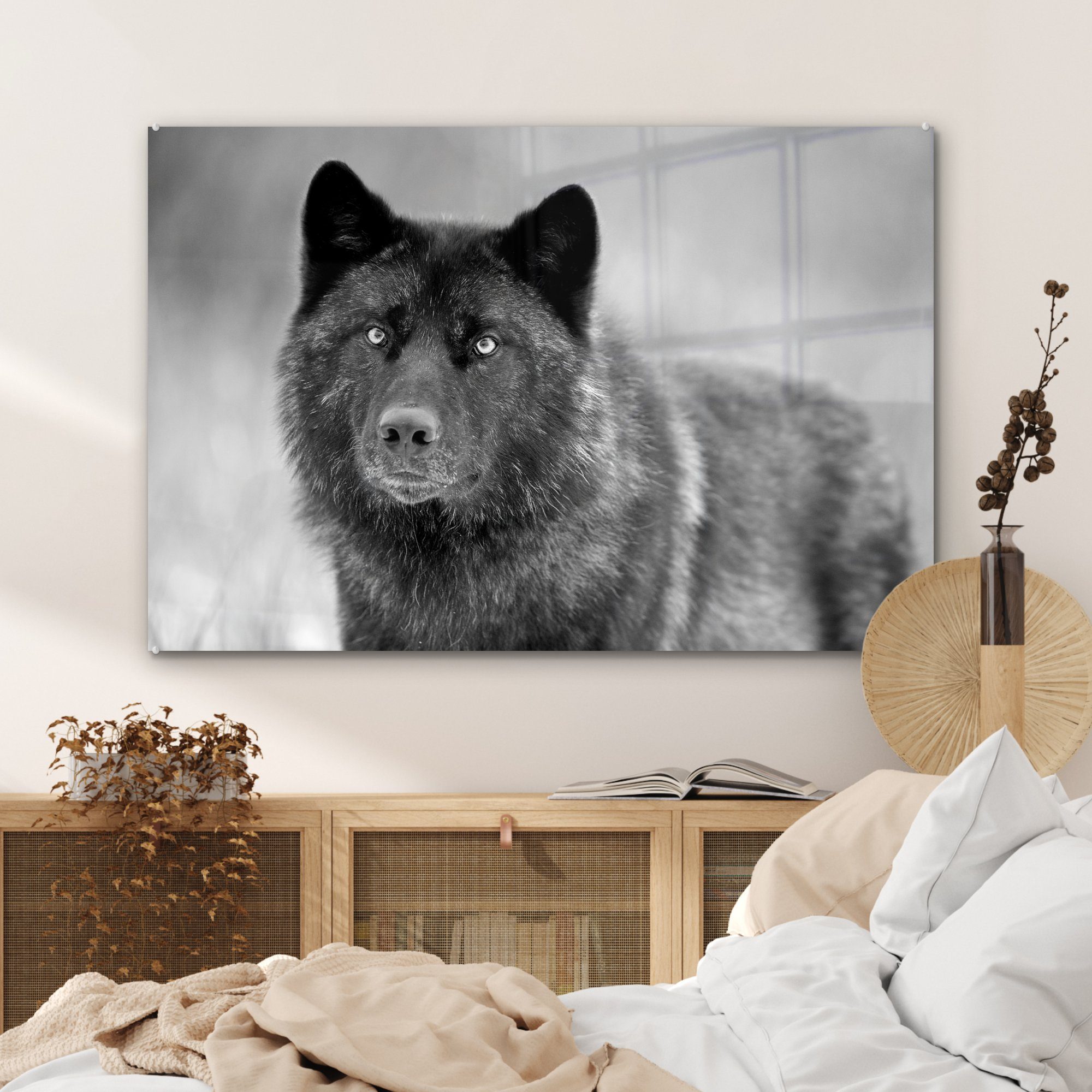 Schwarz Schlafzimmer Acrylglasbild Weiß, Wolf Acrylglasbilder MuchoWow Schwarzer (1 St), in Wohnzimmer & und