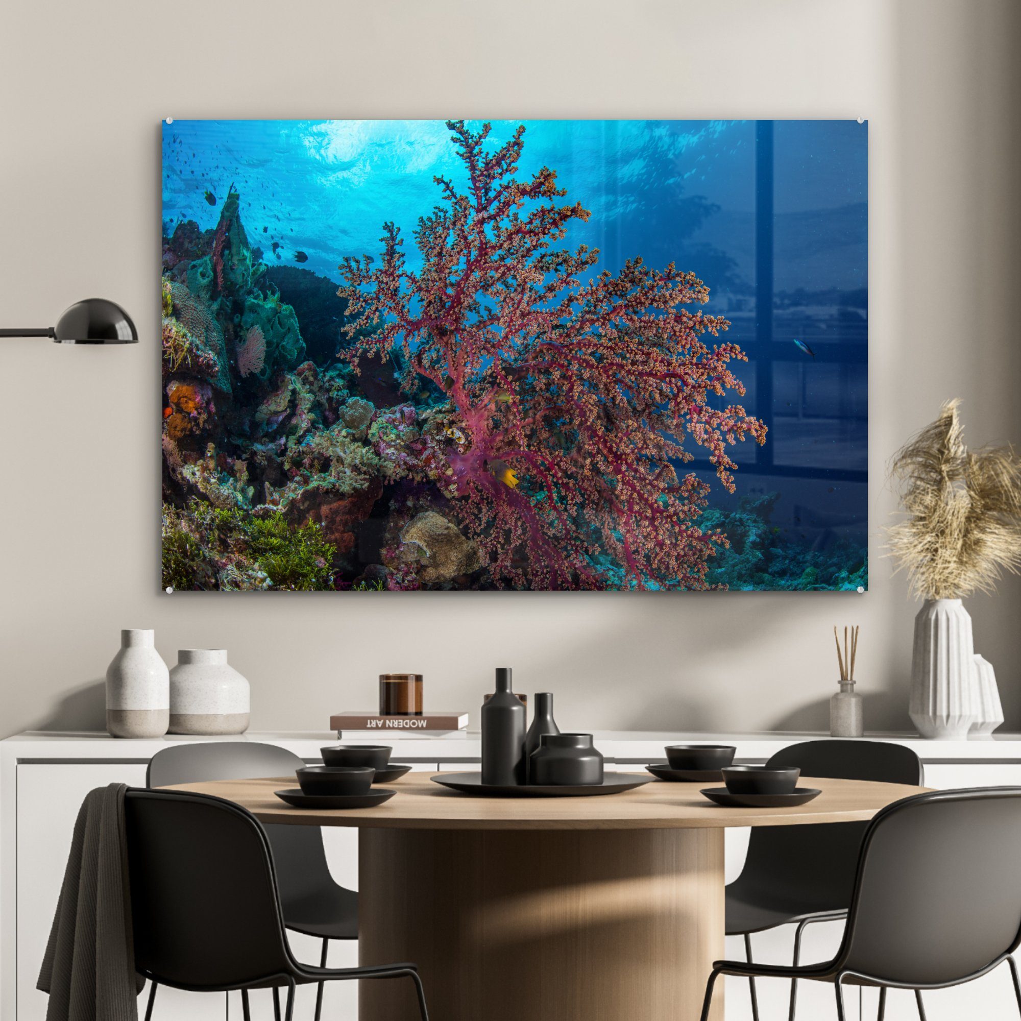 Wakatobi-Nationalpark, MuchoWow Koralle (1 Acrylglasbild einer im St), Schlafzimmer & Wohnzimmer Acrylglasbilder Nahaufnahme