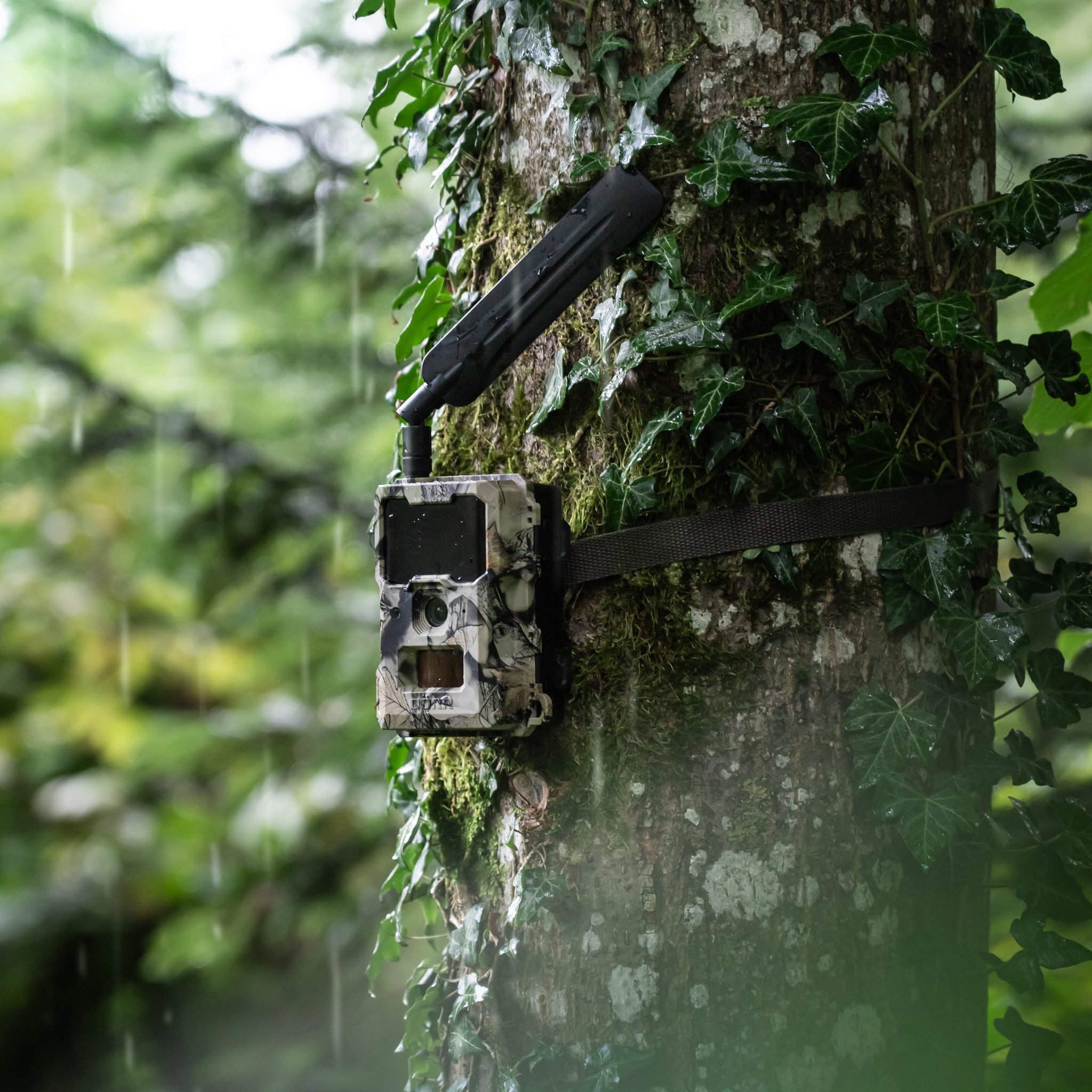 Dörr Wildkamera DÖRR Cloud Mini 4G/LTE Überwachungskamera, Simlockfrei, 12MP, Full HD (Außenbereich, Innenbereich, DÖRR App für iOS, Android & Web, 4G Bild-& Videoversand, Infrarotblitz)