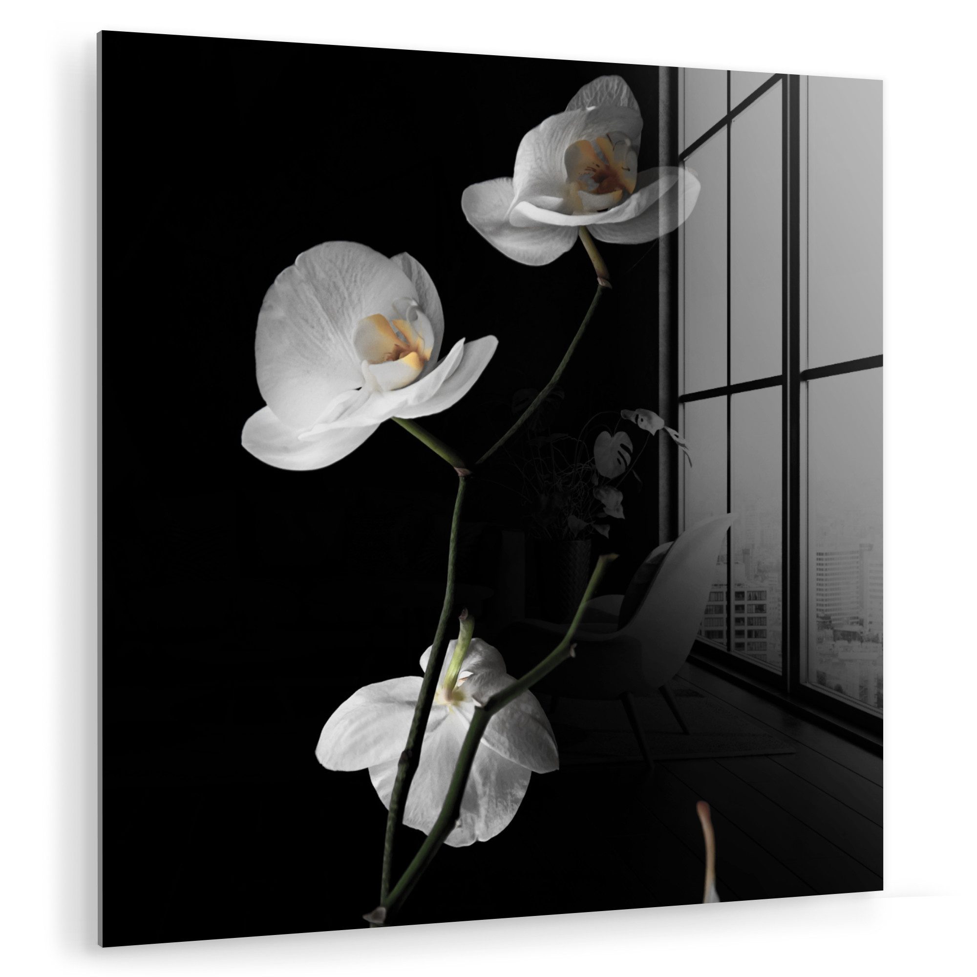MuchoWow Acrylglasbild Orchidee - Blumen - günstig online kaufen