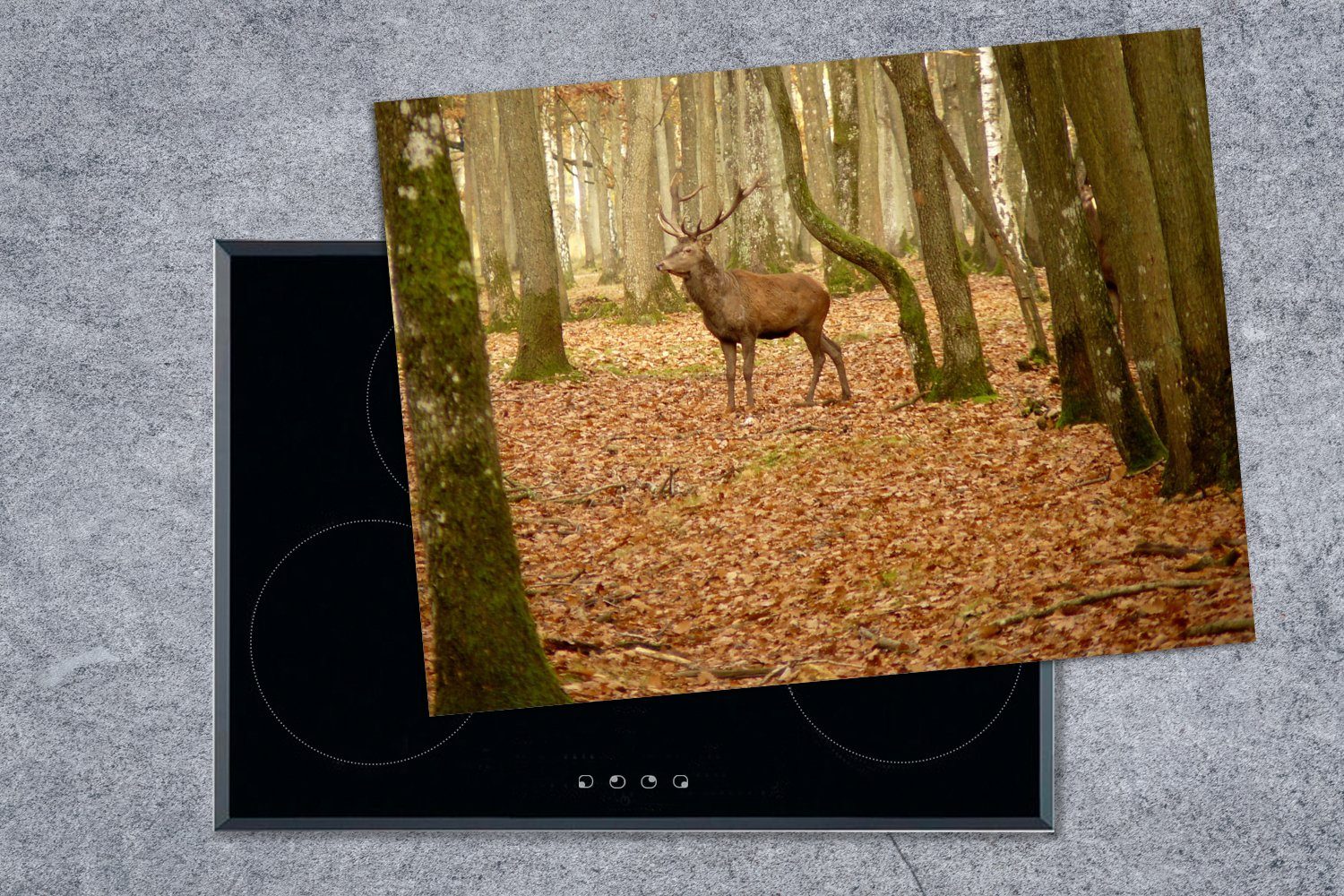 Ceranfeldabdeckung Mobile Vinyl, Herdblende-/Abdeckplatte (1 Herbst MuchoWow - nutzbar, 70x52 Wald, tlg), Hirsche Arbeitsfläche - cm,