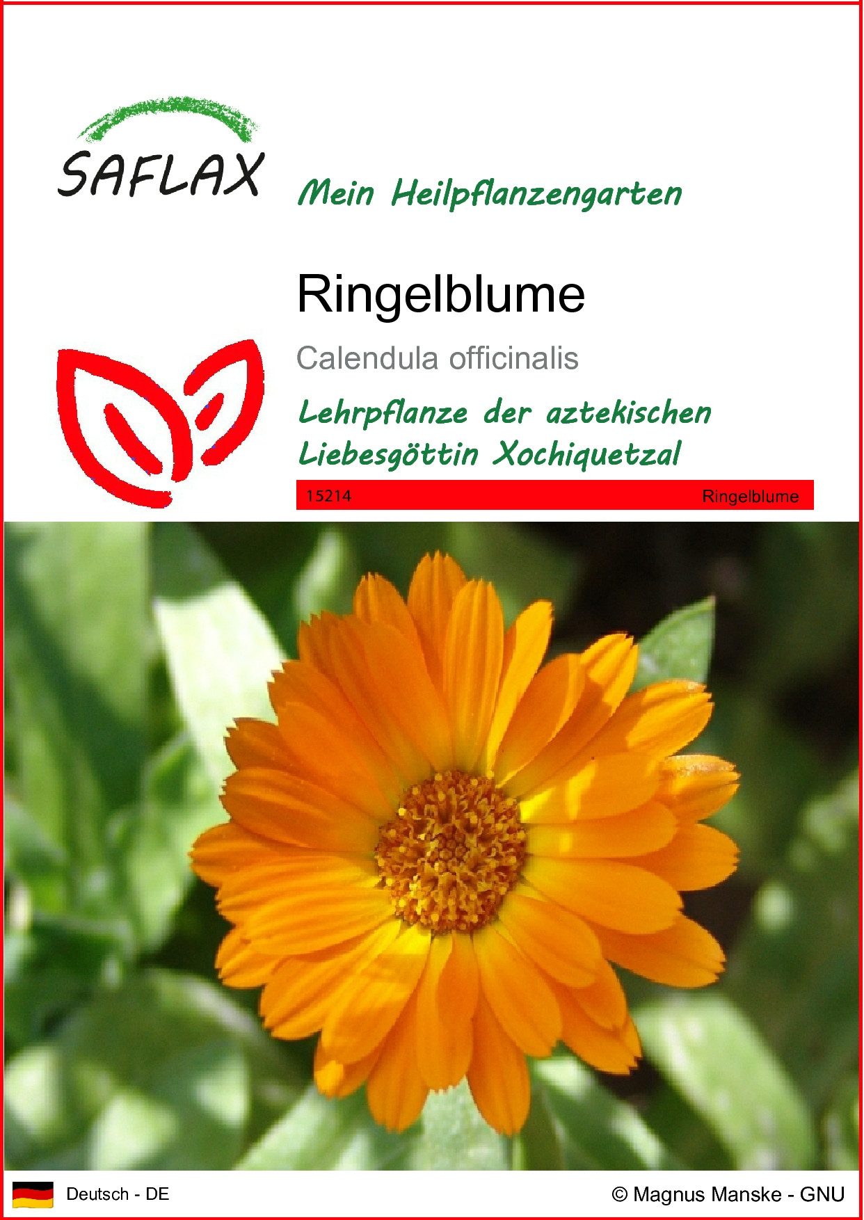 SAFLAX Blumensamen SAFLAX - Samen - Ringelblume