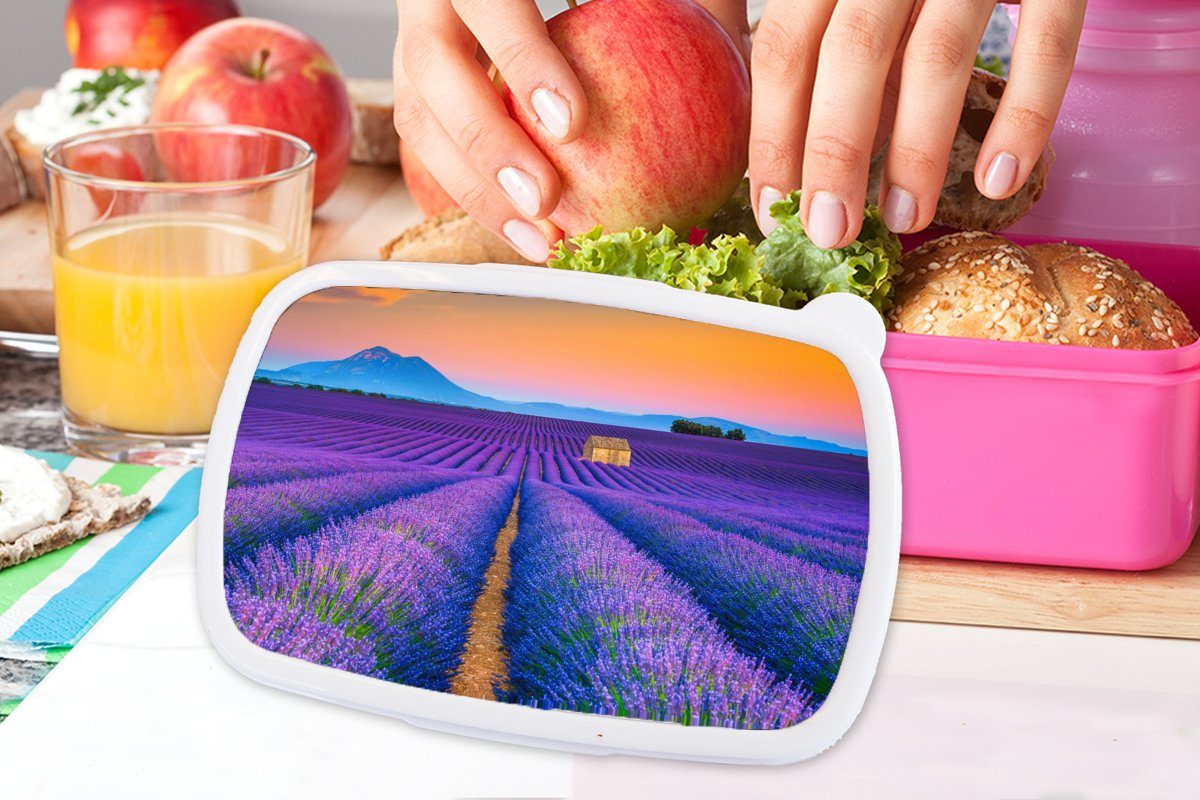 Brotbox für Lunchbox Erwachsene, - Kinder, Snackbox, - Kunststoff, Kunststoff MuchoWow Blumen, rosa Mädchen, Lavendel (2-tlg), Brotdose Lila