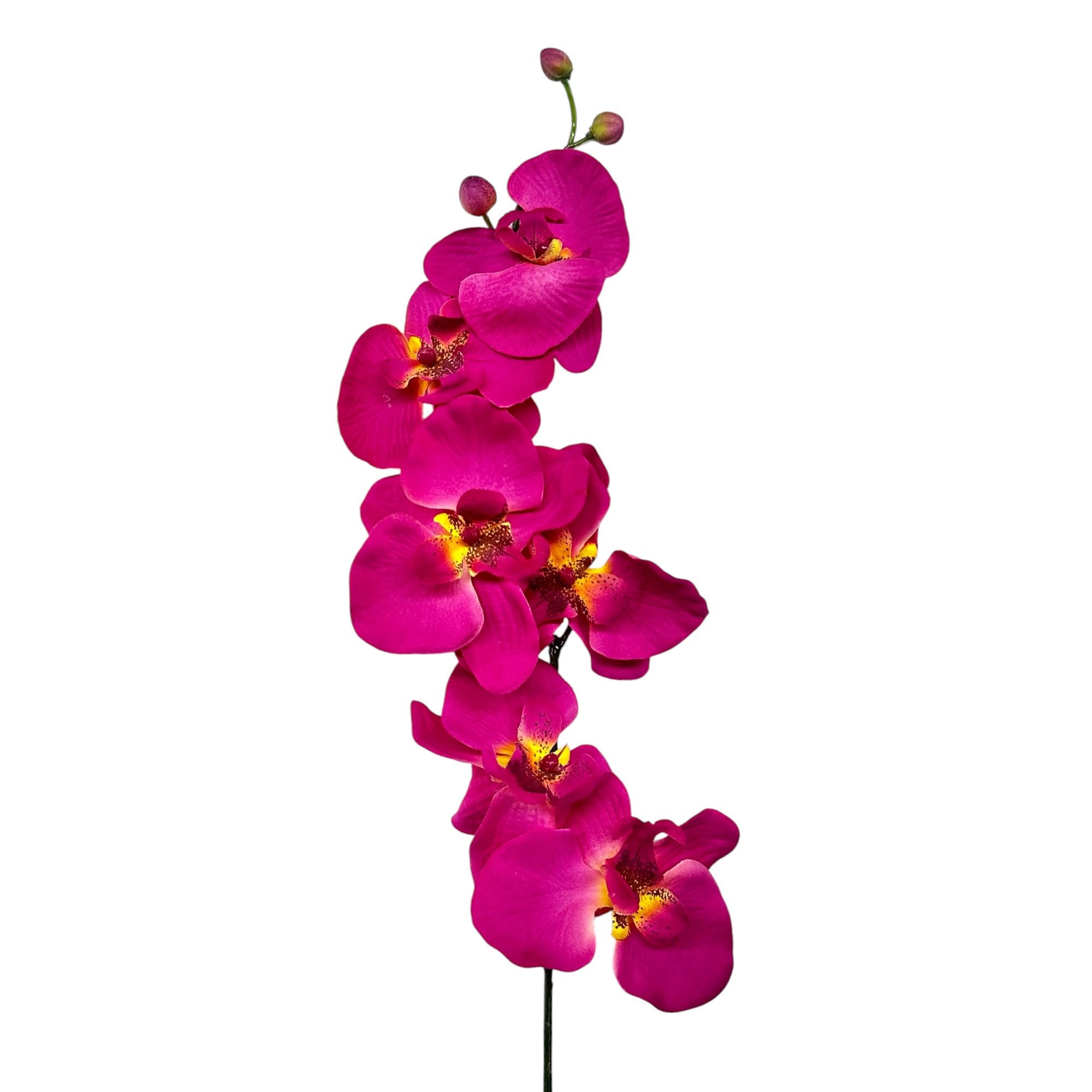 Kunstorchidee Kunstblume, ORCHIDEENZWEIG, Orchidee 78cm, Gasper, Höhe 78.00 cm