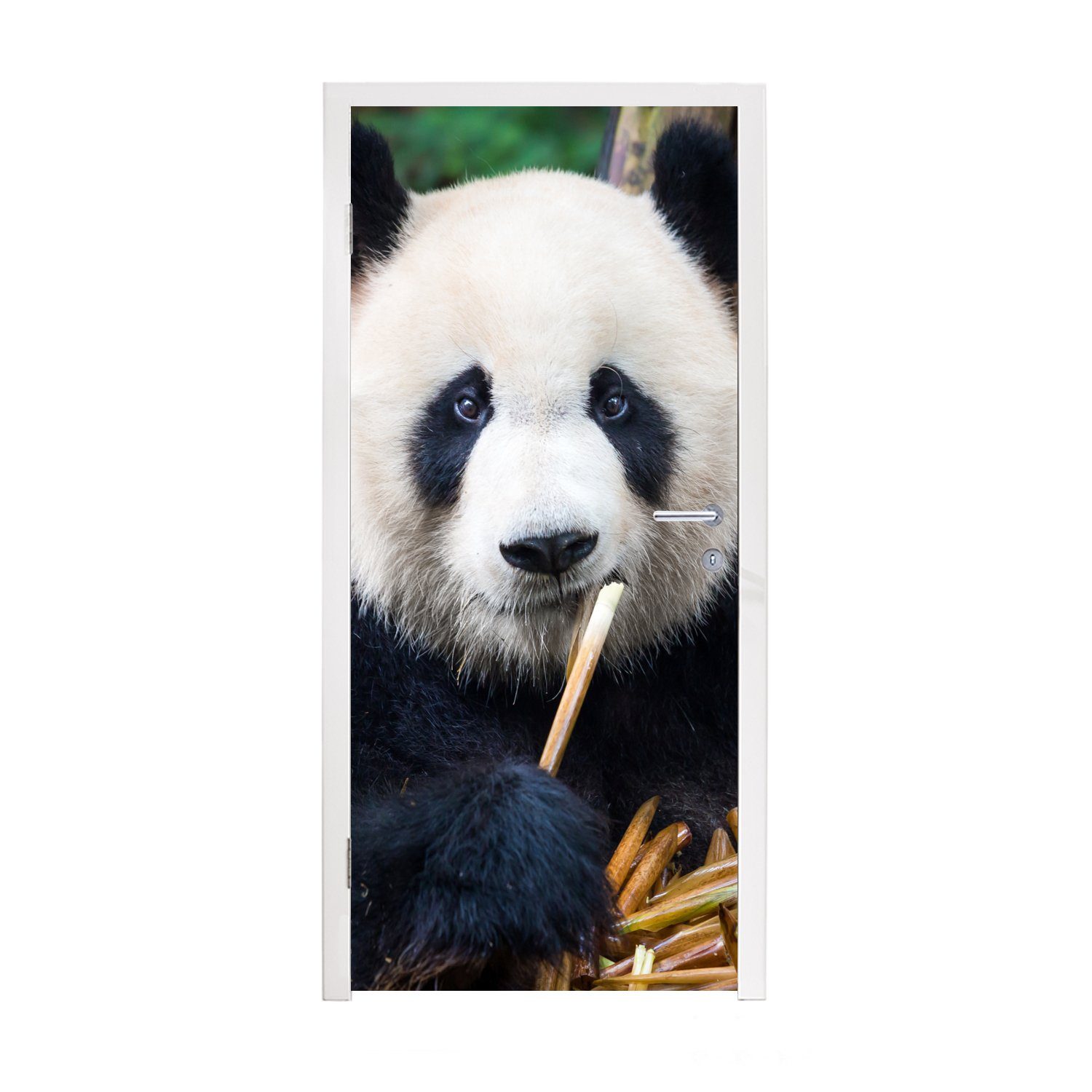MuchoWow Türtapete Panda - Bambus - Natur, Matt, bedruckt, (1 St), Fototapete für Tür, Türaufkleber, 75x205 cm