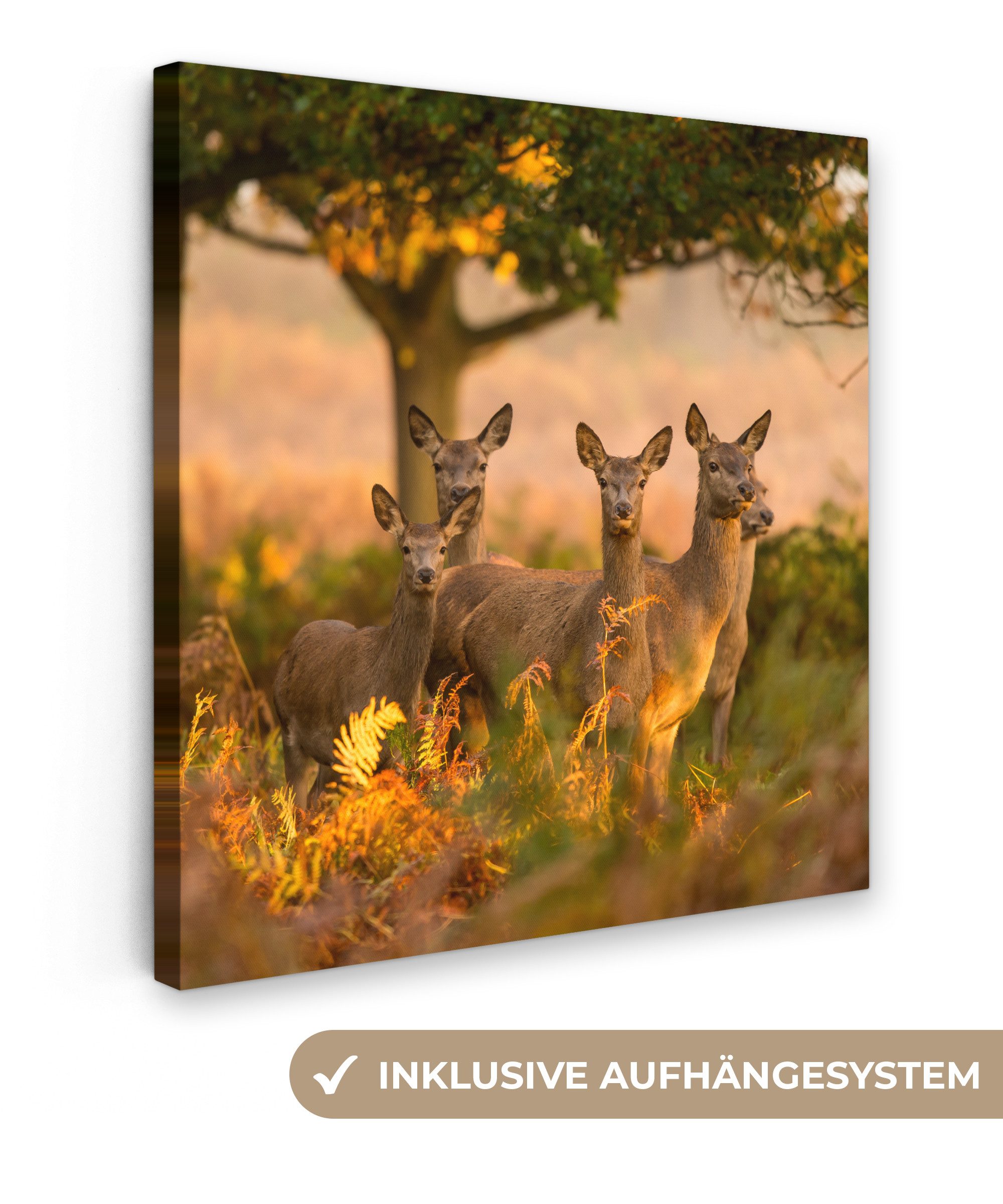 OneMillionCanvasses® Leinwandbild Herbst - Sonne - günstig online kaufen