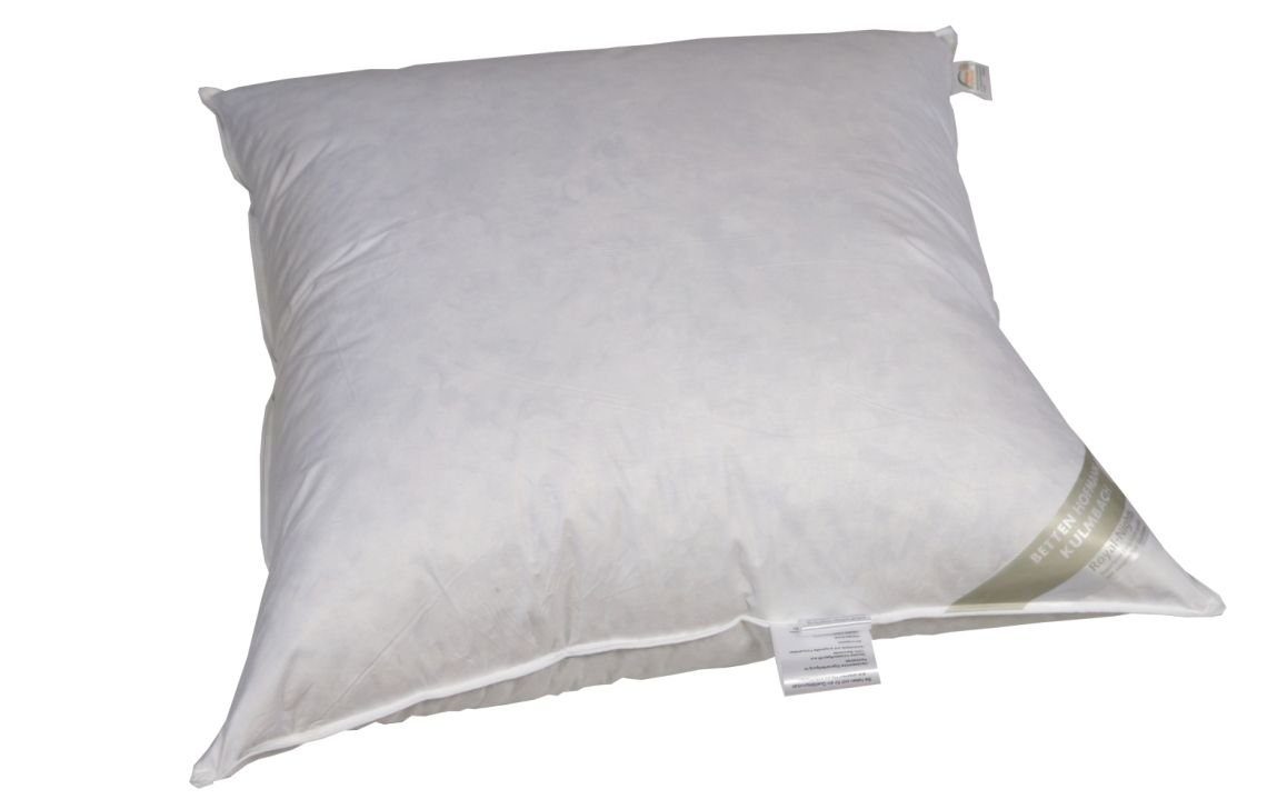 Betten Hofmann Federkopfkissen Betten Hofmann strapazierfähiges Federkissen günstig online kaufen