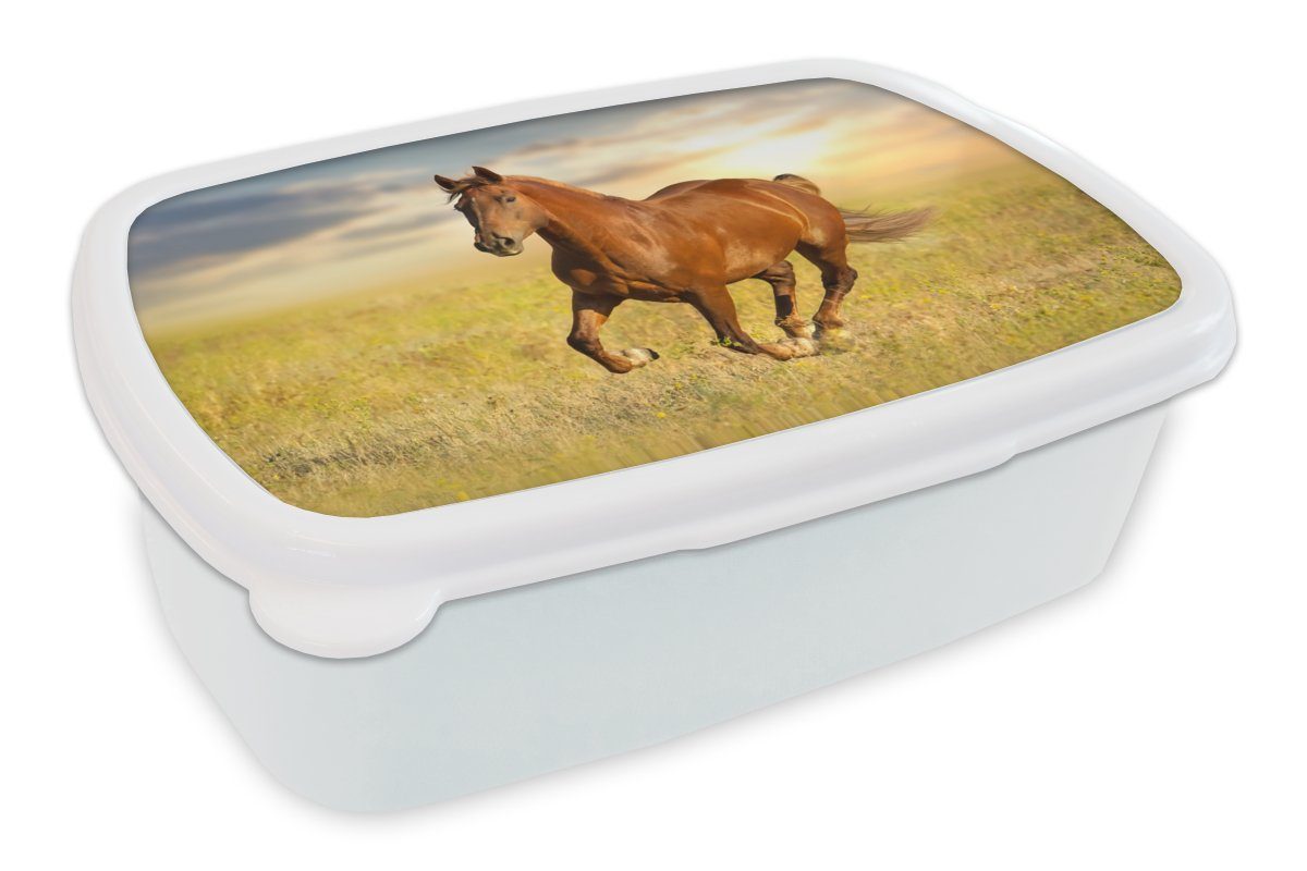 MuchoWow Lunchbox Pferd - Sonne - Gras - Tier, Kunststoff, (2-tlg), Brotbox für Kinder und Erwachsene, Brotdose, für Jungs und Mädchen weiß