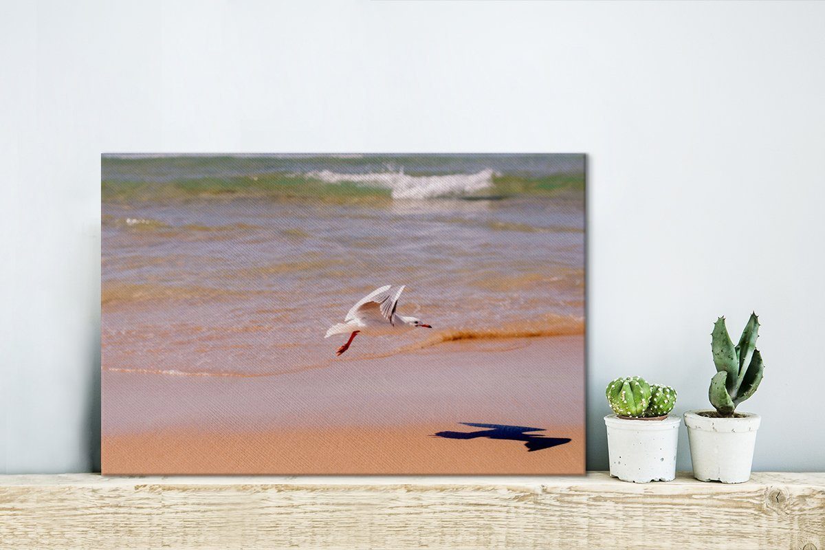 Leinwandbild St), über fliegt Weißkopfmöwe Wanddeko, (1 OneMillionCanvasses® den Strand, cm Wandbild Aufhängefertig, 30x20 tief Leinwandbilder,