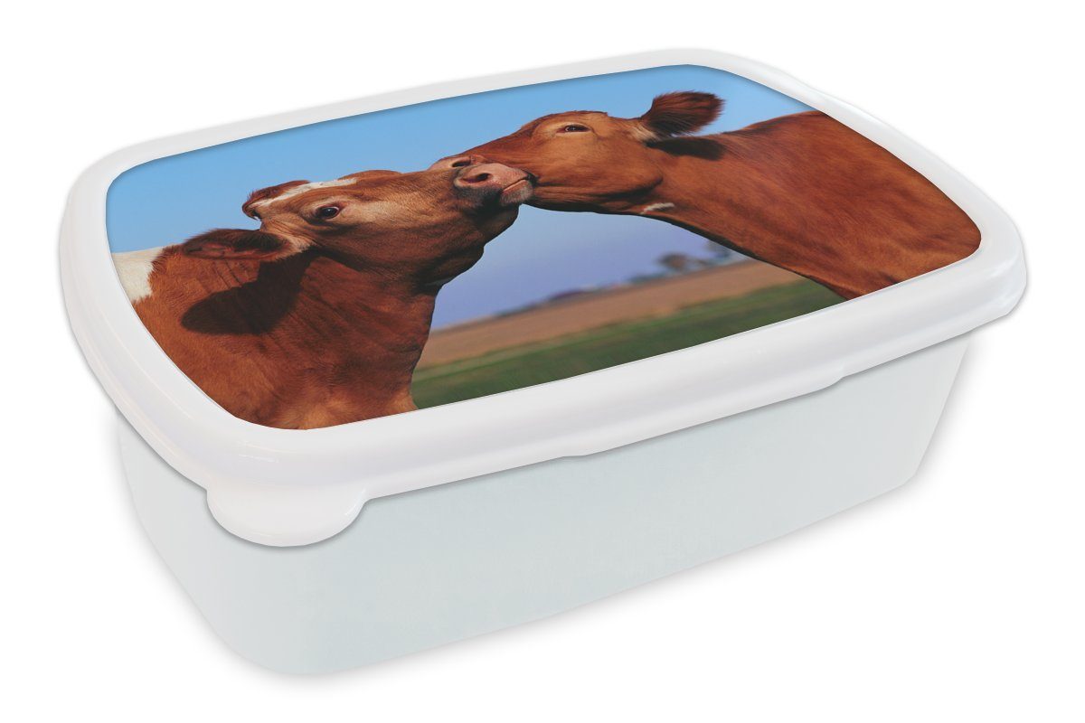 MuchoWow Lunchbox Kühe - Sommer - Braun, Kunststoff, (2-tlg), Brotbox für Kinder und Erwachsene, Brotdose, für Jungs und Mädchen weiß