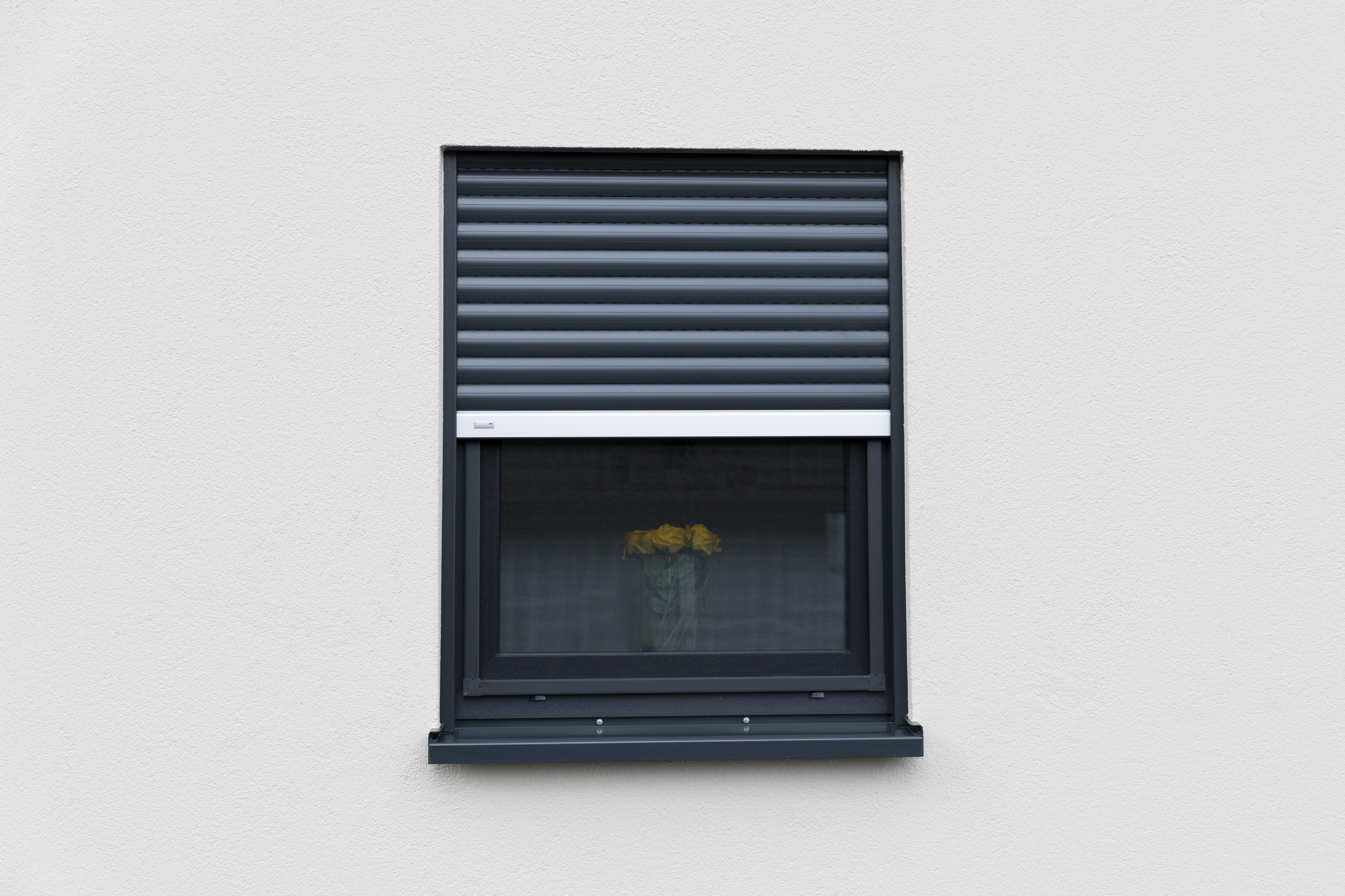 SCHELLENBERG Insektenschutz-Fensterrahmen Fliegengitter Fenster Premium, (Set, 1-St), mit Rahmen aus Aluminium in anthrazit und weiß, 140 x 150 cm