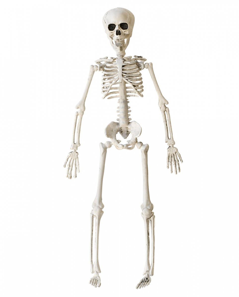 Beweglich Horror-Shop Skelett 40 Dekofigur Halloween cm -