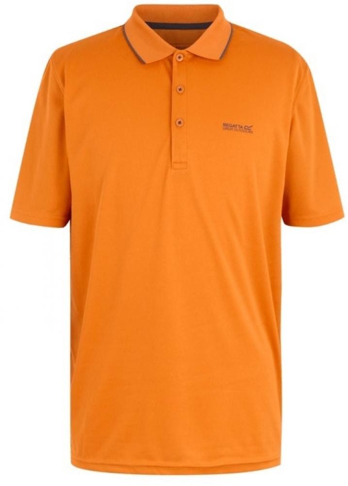 Regatta Outdoorhemd Herren Poloshirt Maverik V günstig online kaufen