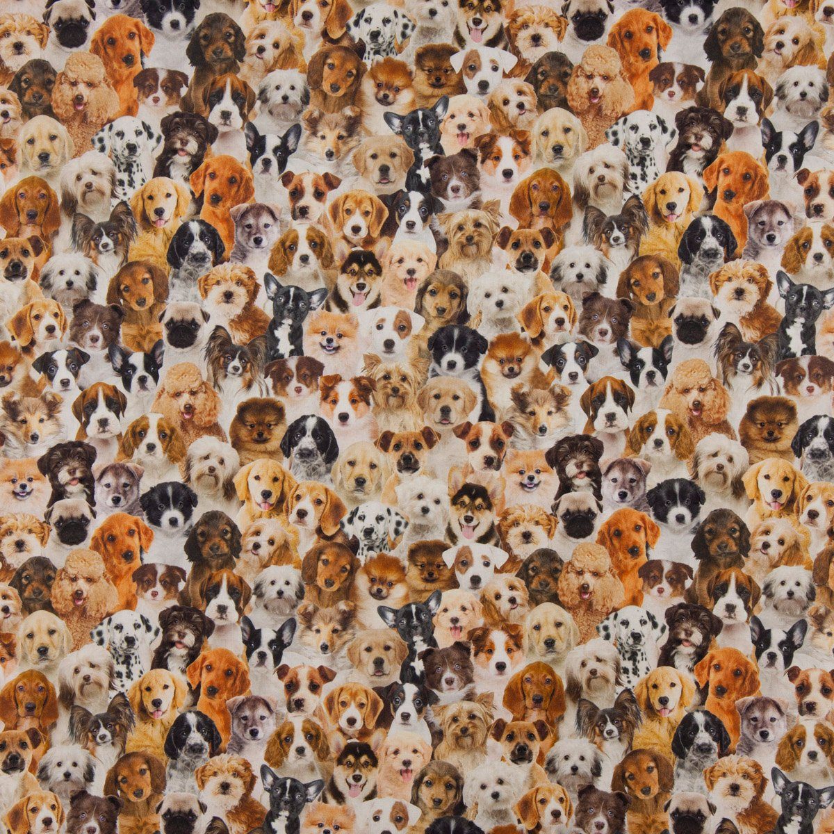 SCHÖNER LEBEN. Zugluftstopper Zugluftstopper Digitaldr. Hunde Welpen braun weiß schwa, Digitaldruck