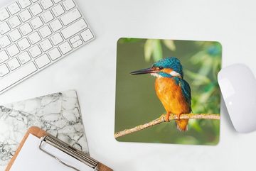 MuchoWow Mauspad Vogel - Eisvogel - Zweig - Blätter - Moos (1-St), Gaming, Mousepad, Büro, 20x20 cm, Mausunterlage