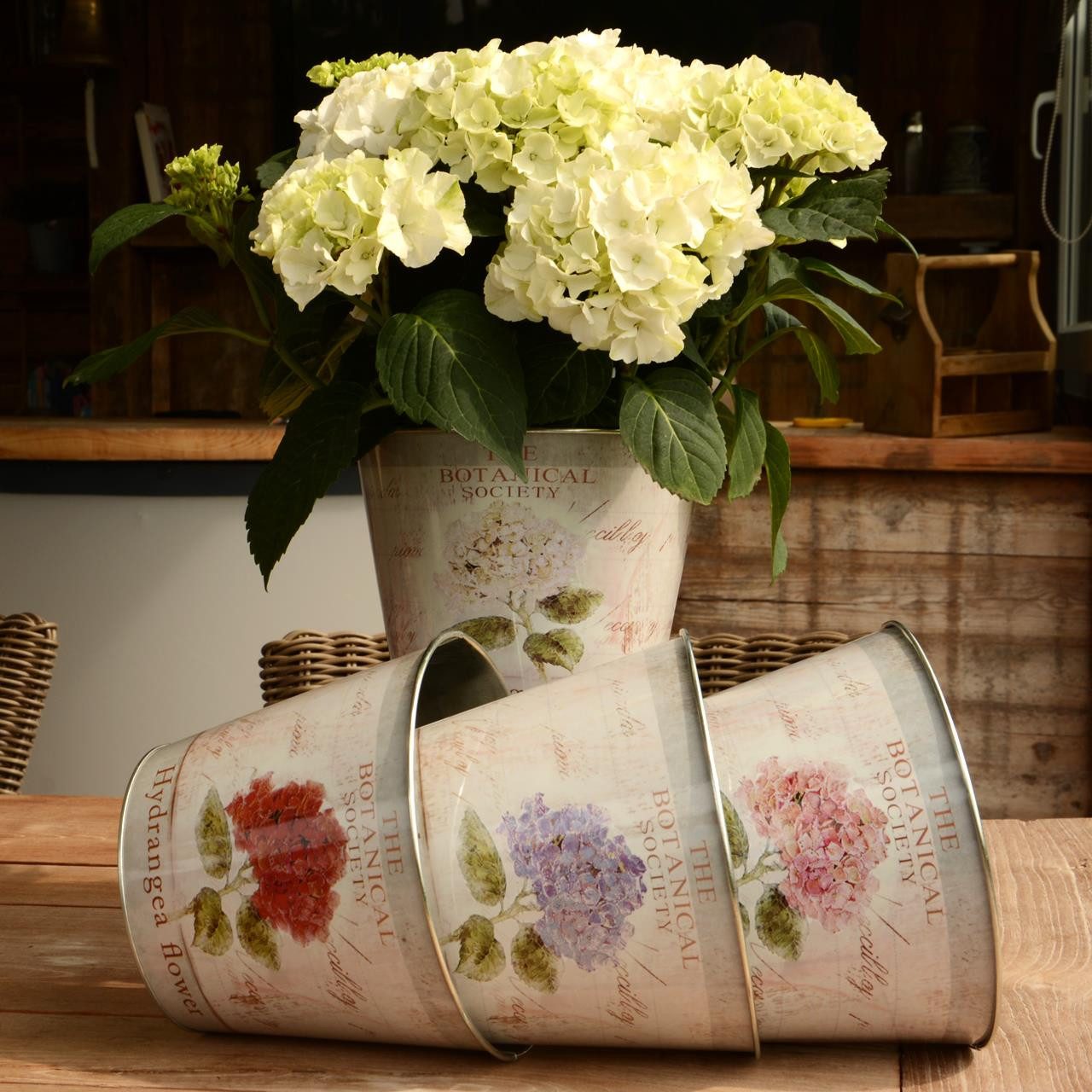 UNUS GARDEN Blumentopf Topf Zink rund günstig online kaufen