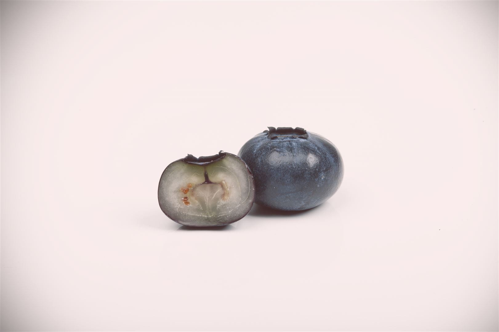 Pflanzen für Dich Obstpflanze Vaccinium corymbosum, 1 St., Amerikanische Heidelbeere, Kulturheidelbeere, Blaubeere, blaue Beeren, herbstfärbung