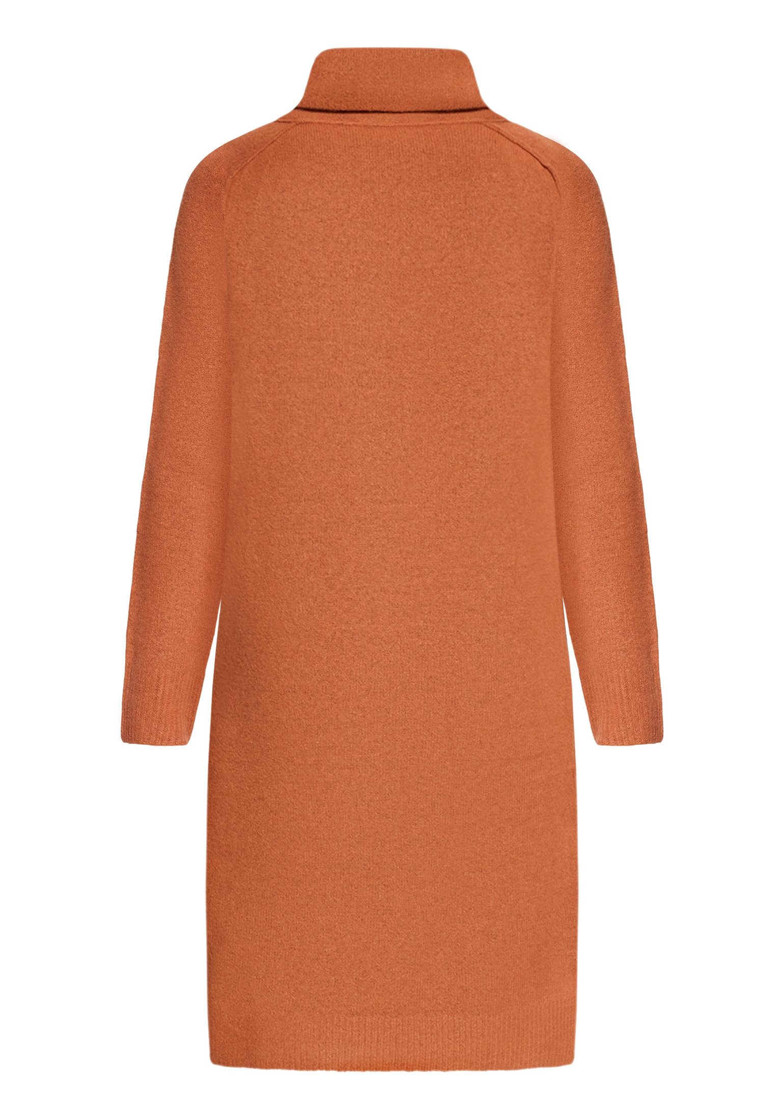 Cartoon Strickkleid Damen mit Turtle Neck