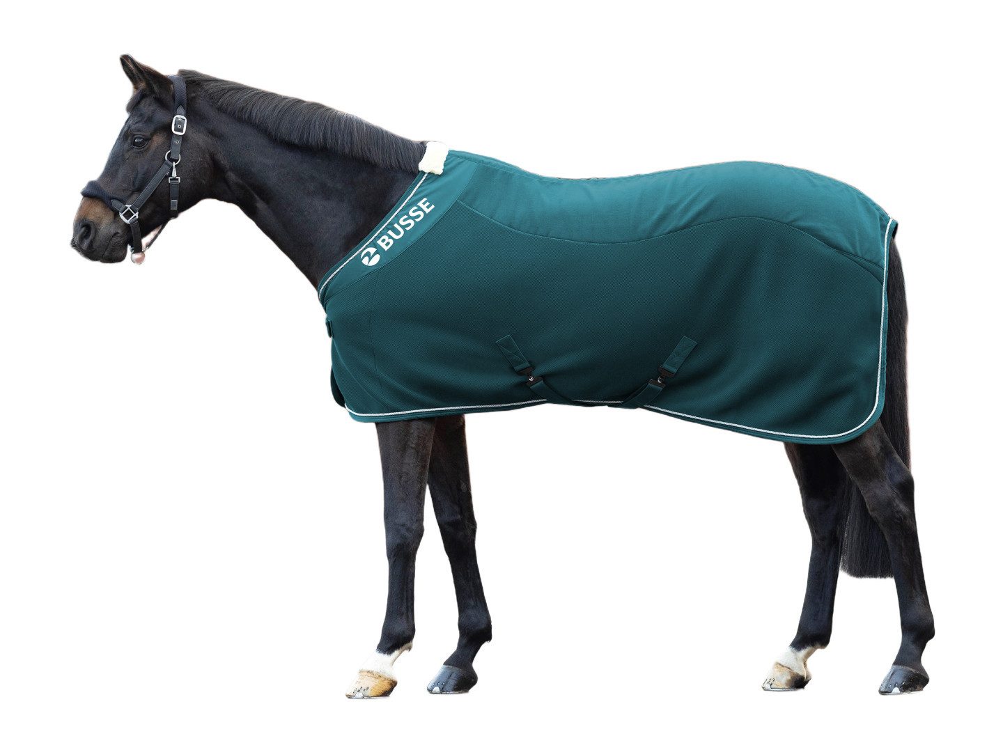 BUSSE Pferde-Abschwitzdecke Abschwitzdecke 3D Air Fleece Premium