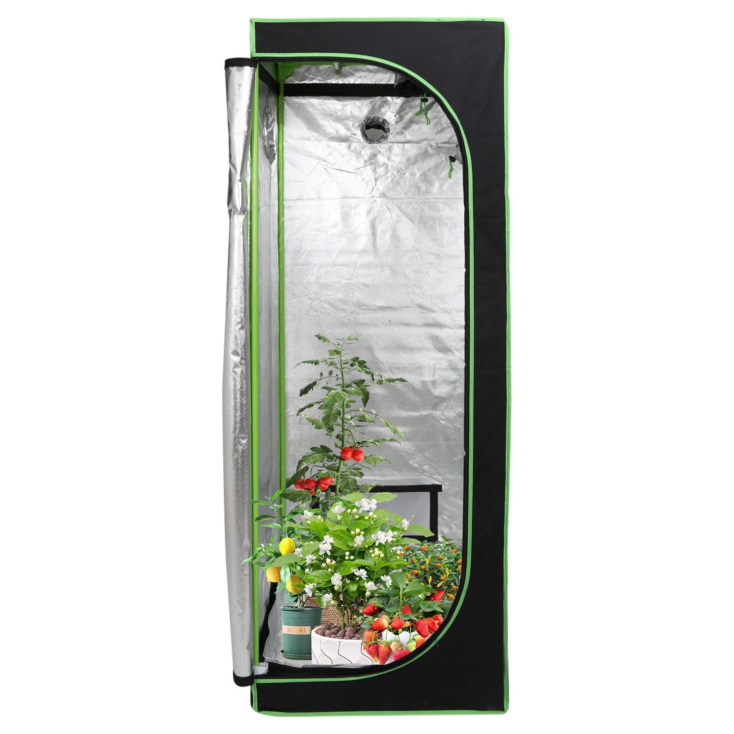 Clanmacy Gewächshaus Growbox Pflanzenzelt Indoor & günstig online kaufen