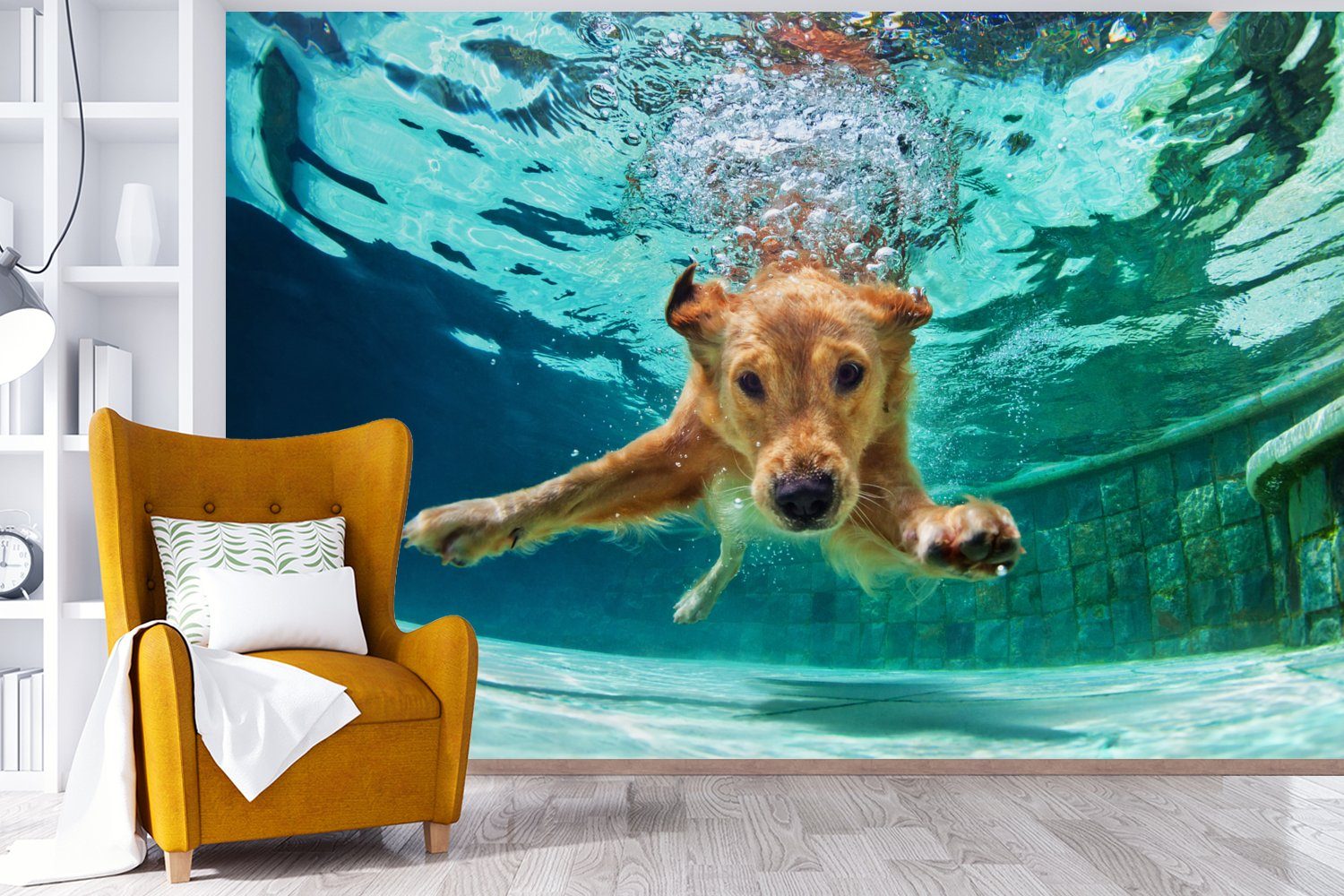Schlafzimmer, - Kinderzimmer, Wohnzimmer, Fototapete Pool Tapete Wallpaper (6 St), - Wasser, Hund MuchoWow Matt, bedruckt, Vinyl für