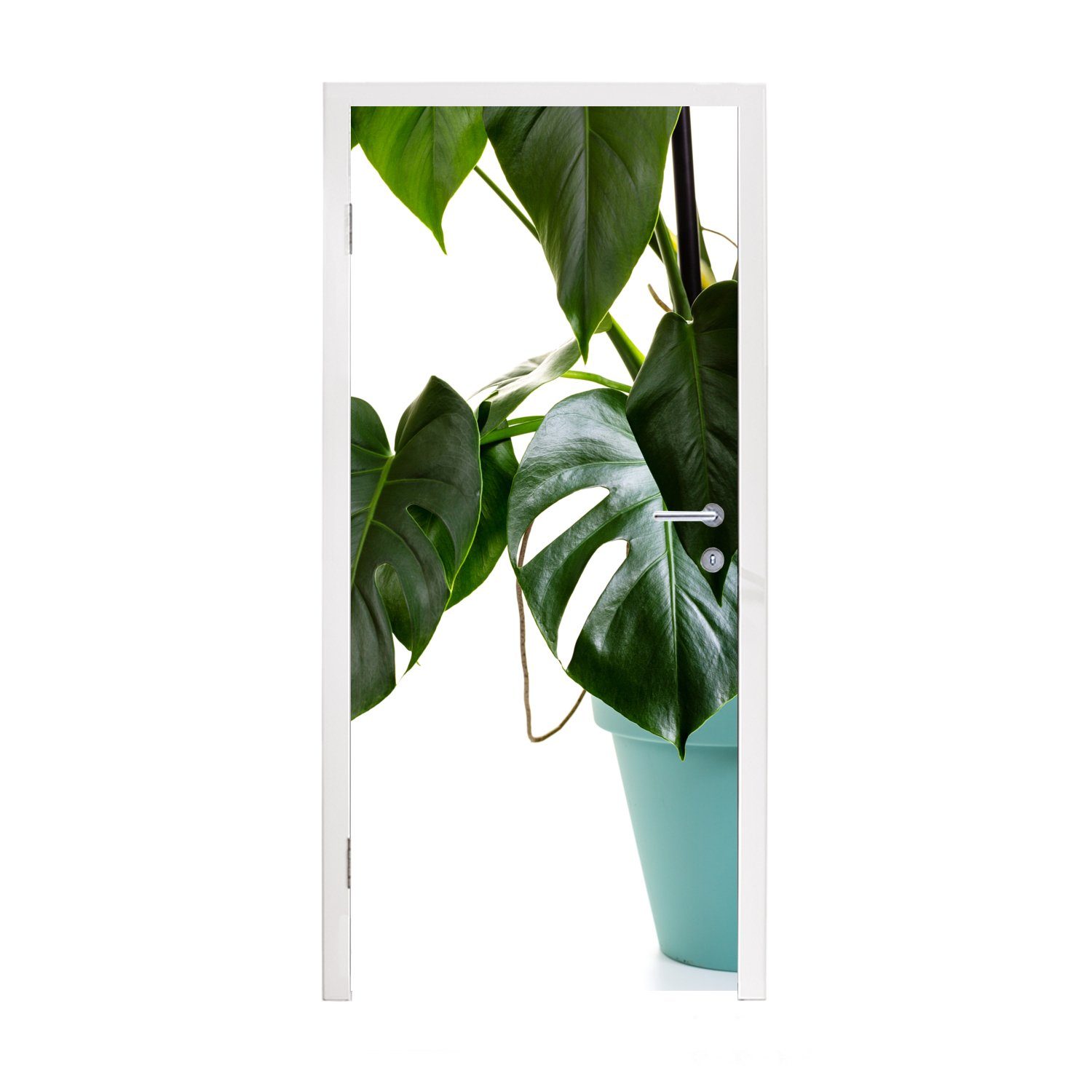 MuchoWow Türtapete Monsterpflanze im Topf, Matt, bedruckt, (1 St), Fototapete für Tür, Türaufkleber, 75x205 cm