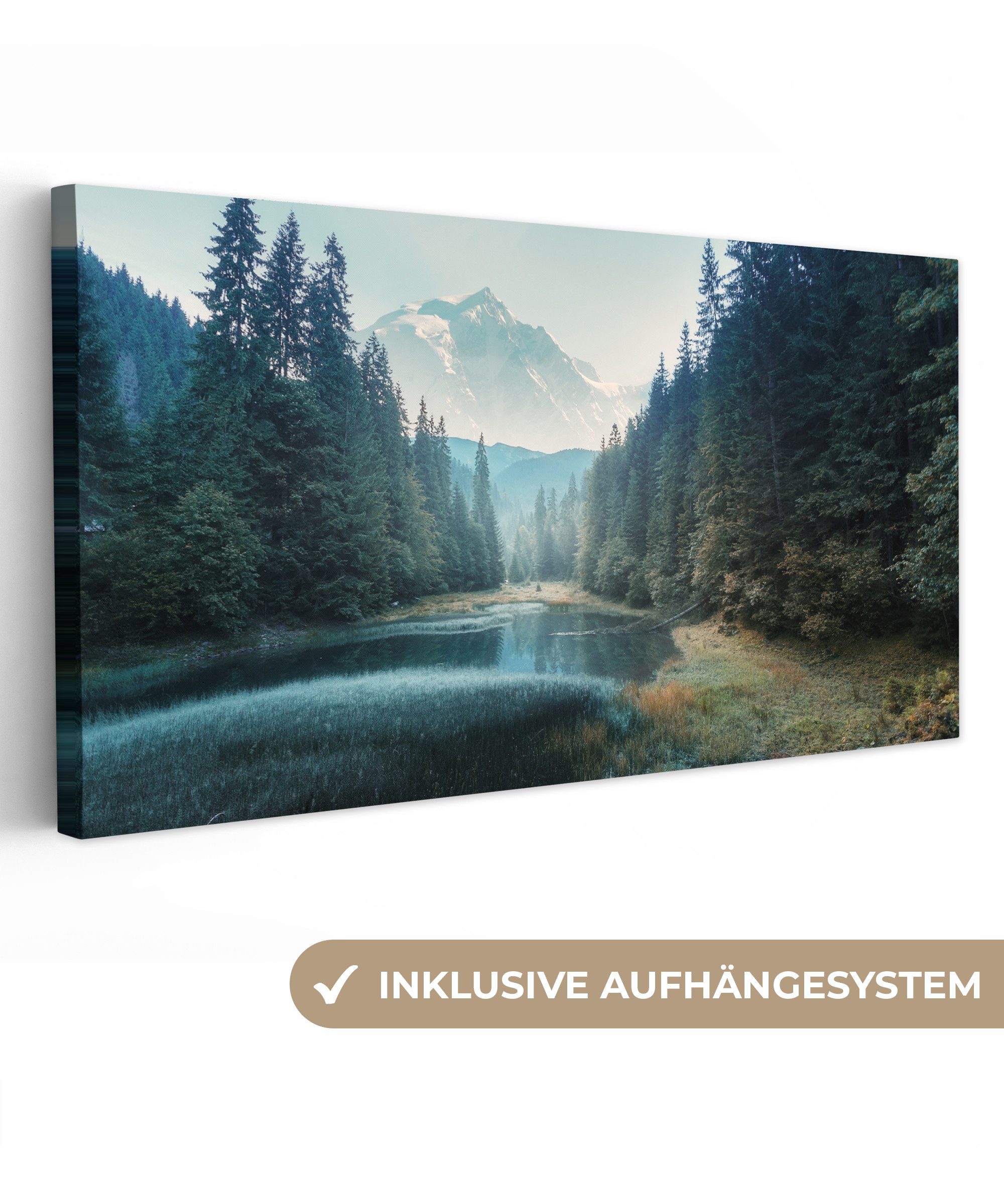 OneMillionCanvasses® Leinwandbild Panorama Wald - Gras günstig online kaufen