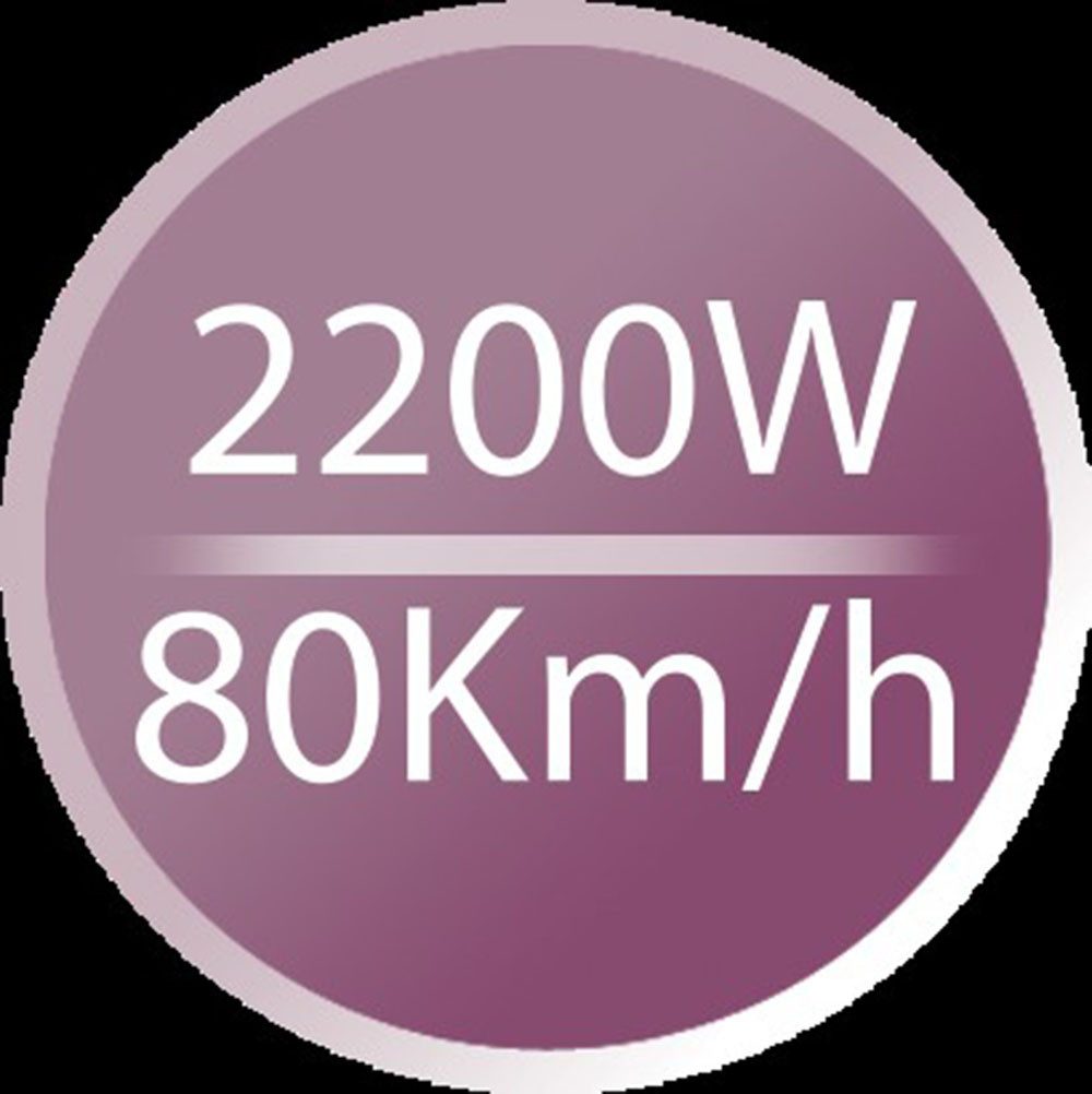 Remington Haartrockner D5210, 2200 W, mit Ionenpflege [leicht & leistungstark, Keramik-Ionen-Ring] schwarz