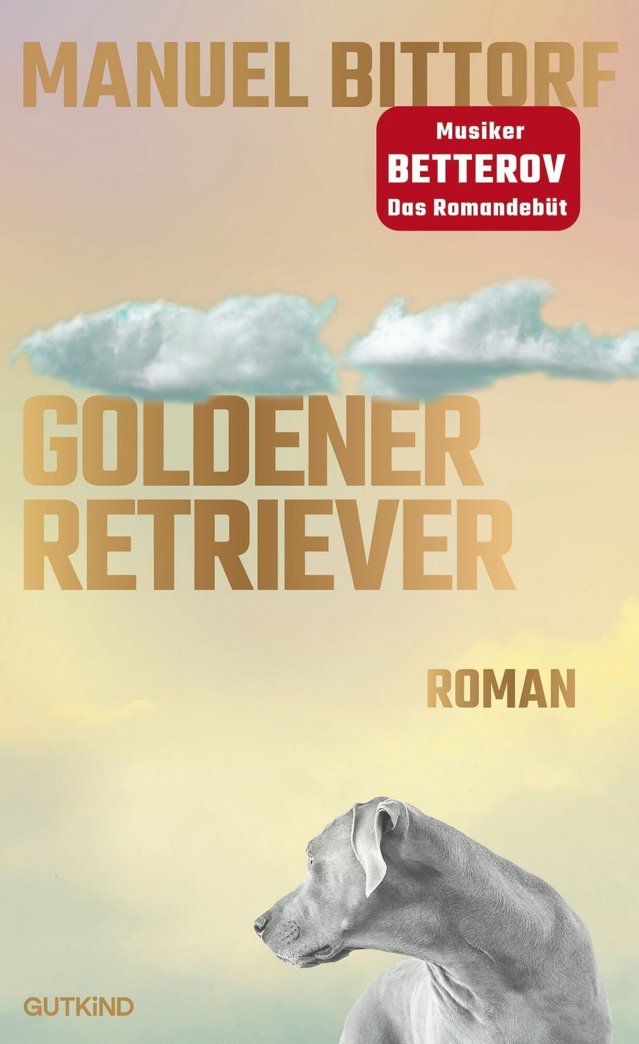 Goldener Retriever / Manuel Bittorf