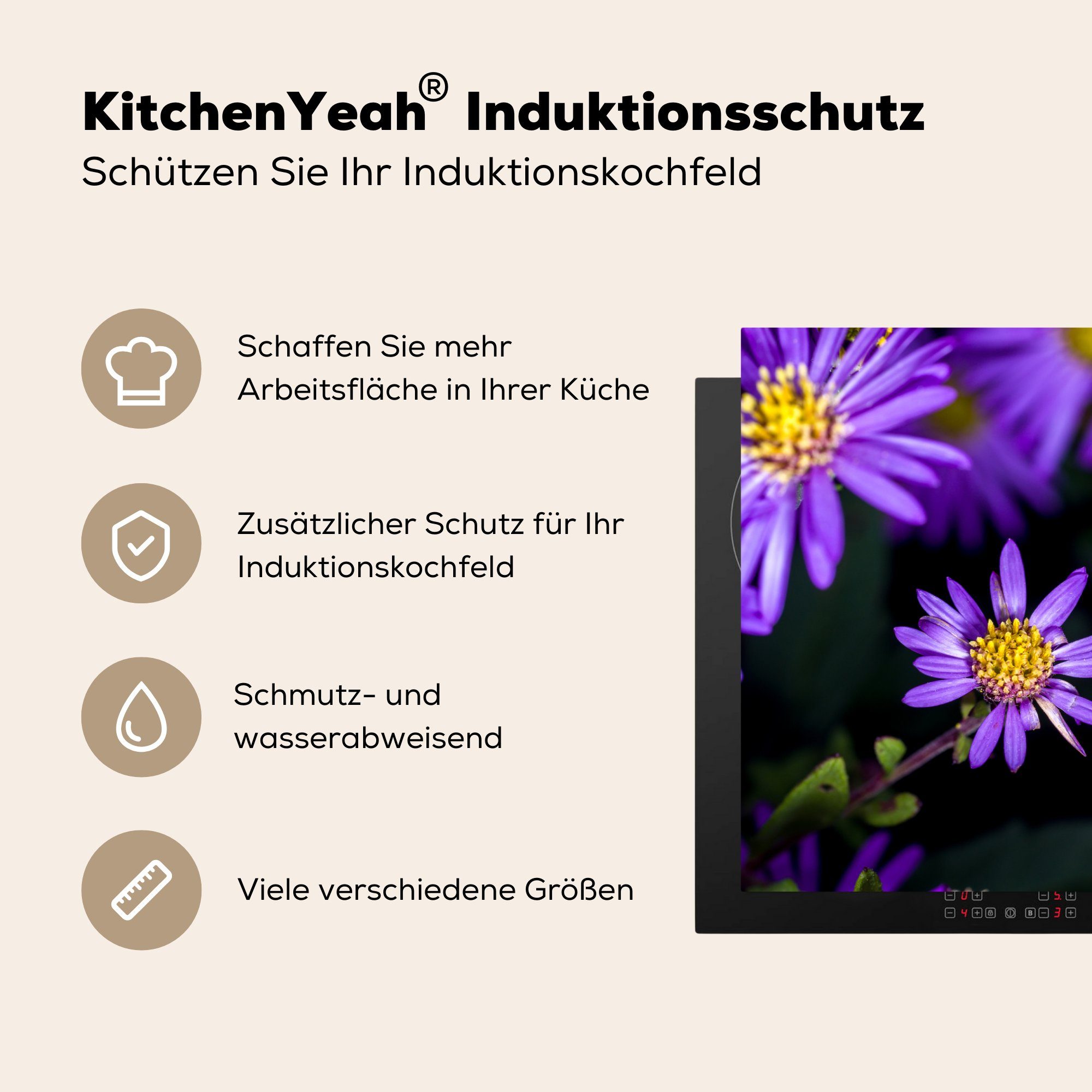 Vinyl, Hintergrund, Ceranfeldabdeckung für küche, Herdblende-/Abdeckplatte Asterblüten (1 Schutz MuchoWow tlg), Induktionskochfeld die schwarzem 81x52 cm, mit