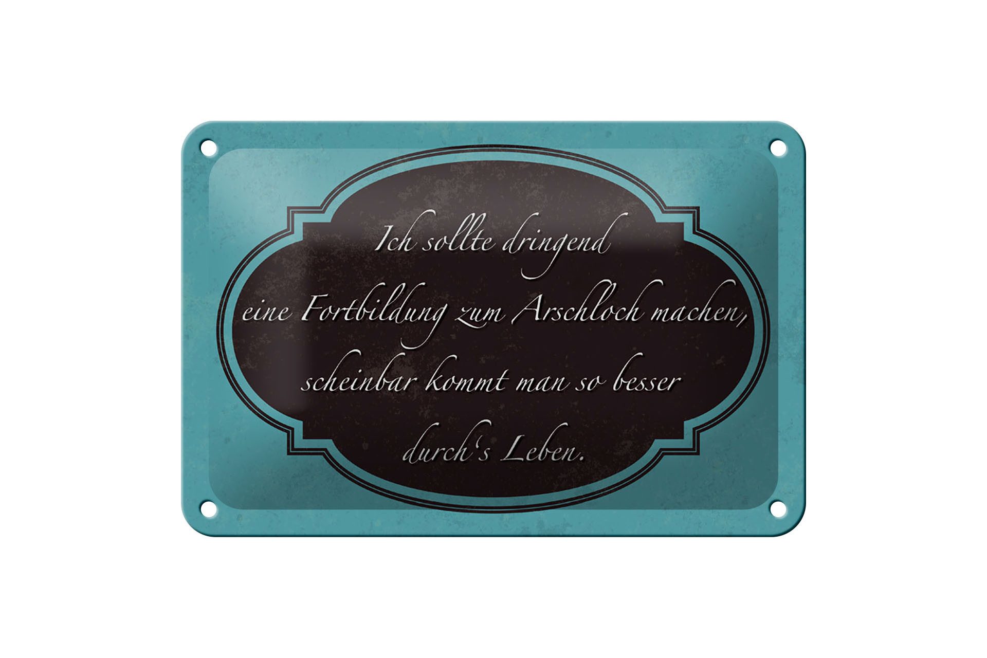 Femer GmbH Metallschild Spruch 18x12cm ich Fortbildung zum Arschloch, (1 St), gewölbte Oberfläche, abgerundete Ecken, umgeschlagene Kanten