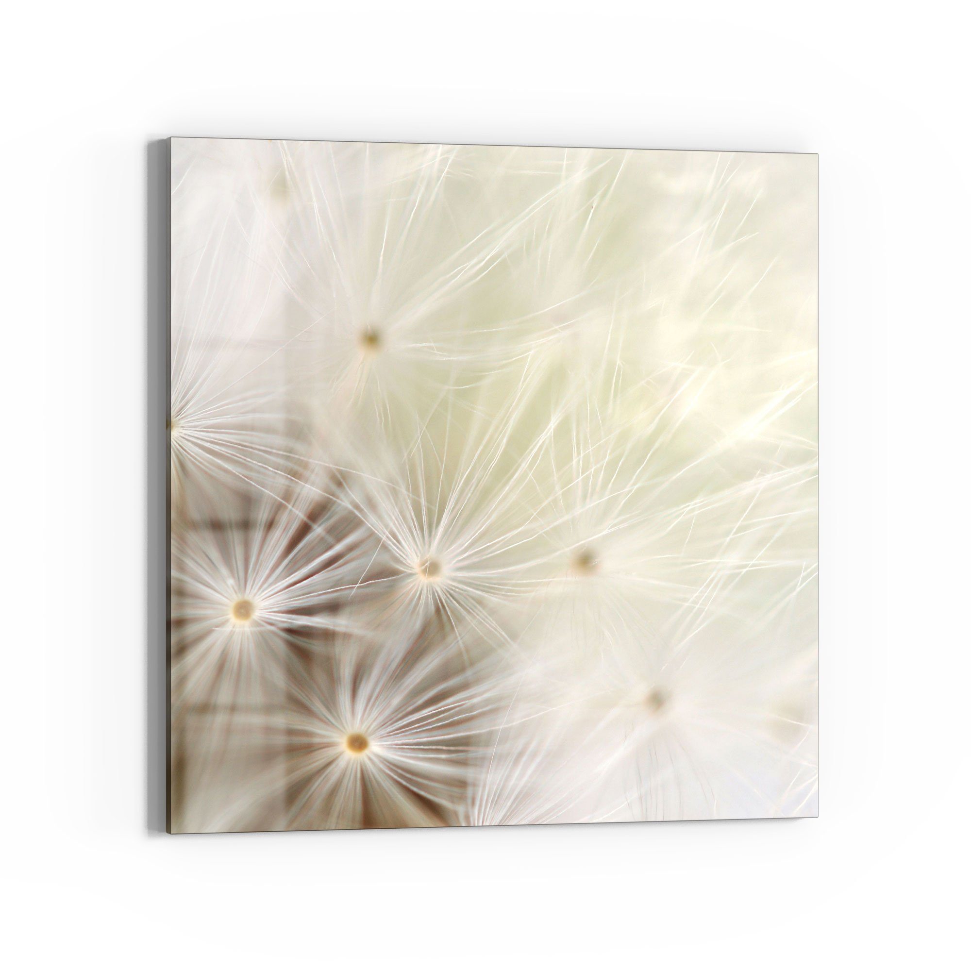 DEQORI Magnettafel 'Pusteblume ganz nah', Whiteboard Pinnwand beschreibbar. Reduzierter Preis € 37,90. Unverbindliche Preisempfehlung € 44,00