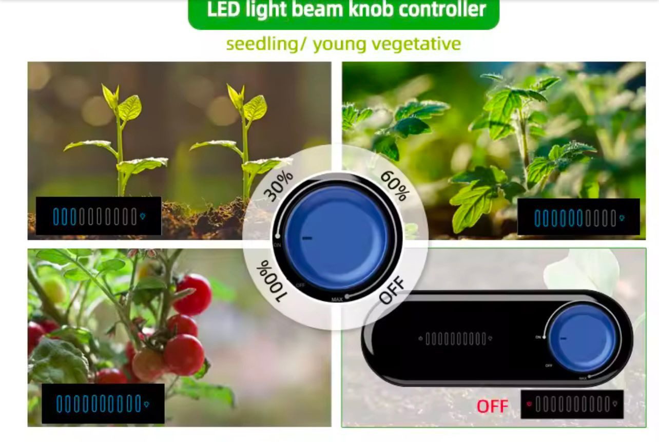 WelitGrow Vollspektrum LED Wachstumslampe Premium XL 200W LED Pflanzenlicht OSRAM Vollspektrum Grow Lampe Indoor, Integrierte LED-Platine, keine klassische Fassung erforderlich., Vollspektrum für alle Wachstumsphasen (Keimung, Wachstum, Blüte)., Energieeffizient, Vollspektrum, OSRAM-LEDs, Plexiglas, dimmbar
