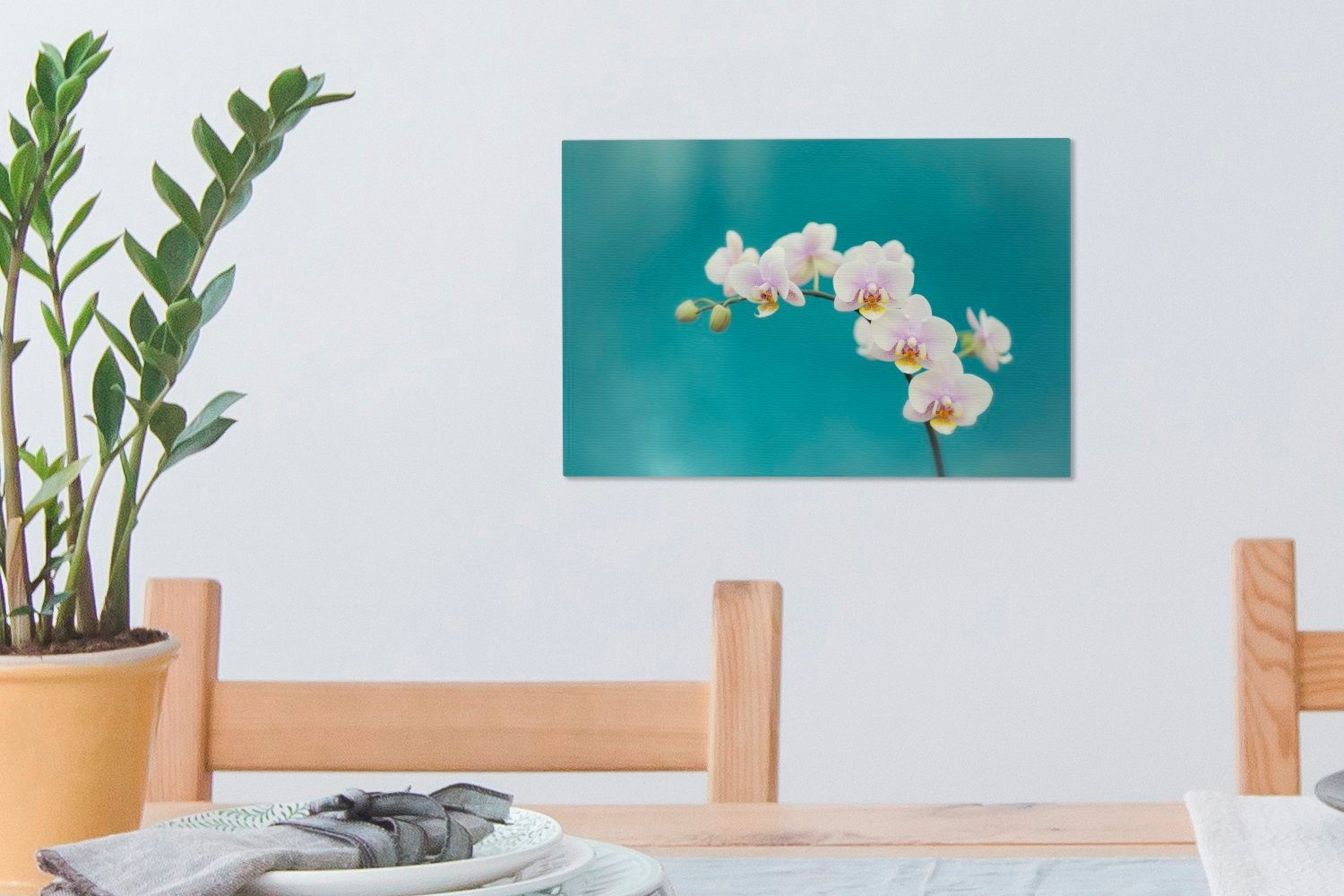 Leinwandbild (1 Leinwandbilder, Aufhängefertig, Orchideen Wanddeko, auf 30x20 cm OneMillionCanvasses® blauem Hintergrund, St), Weiße Wandbild