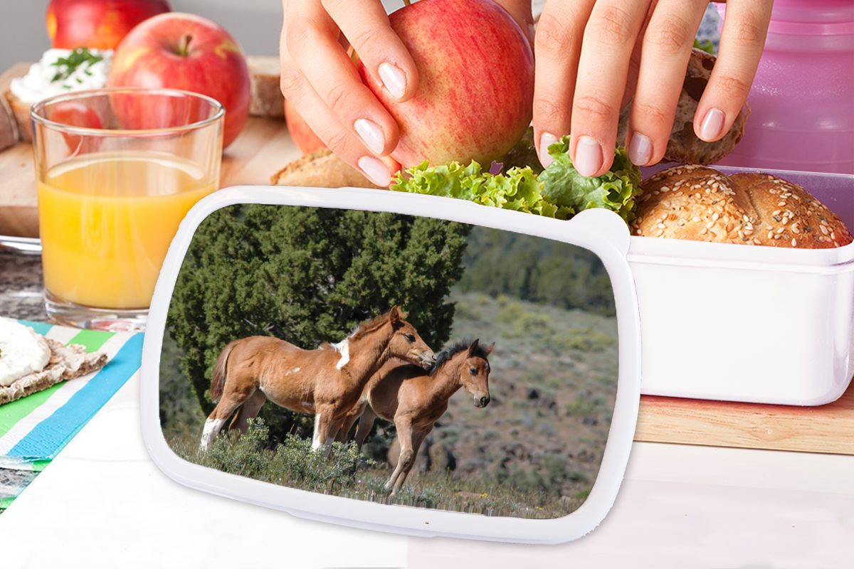 - - für Lunchbox Pferde Erwachsene, Jungs Mädchen und und weiß MuchoWow für Kinder (2-tlg), Brotbox Fohlen Gras, Kunststoff, Brotdose,