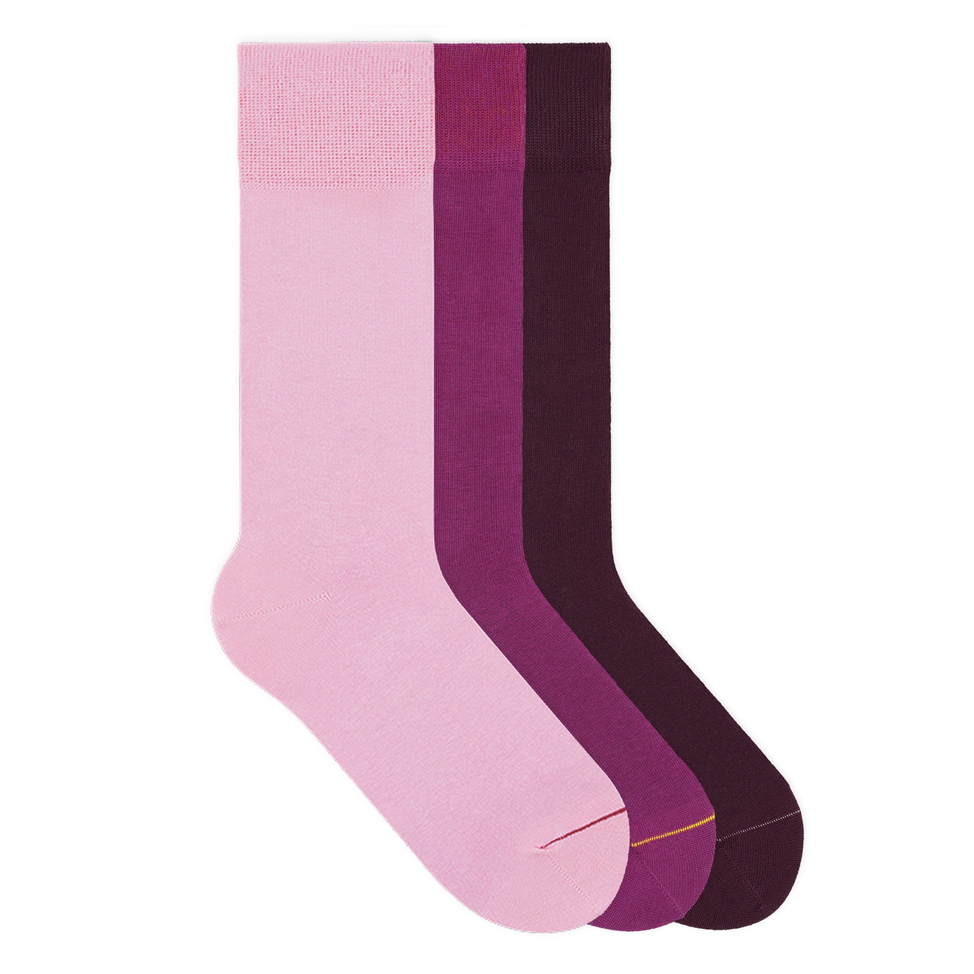 Socken Signature Classics Bundle Bio-Baumwolle 36-46