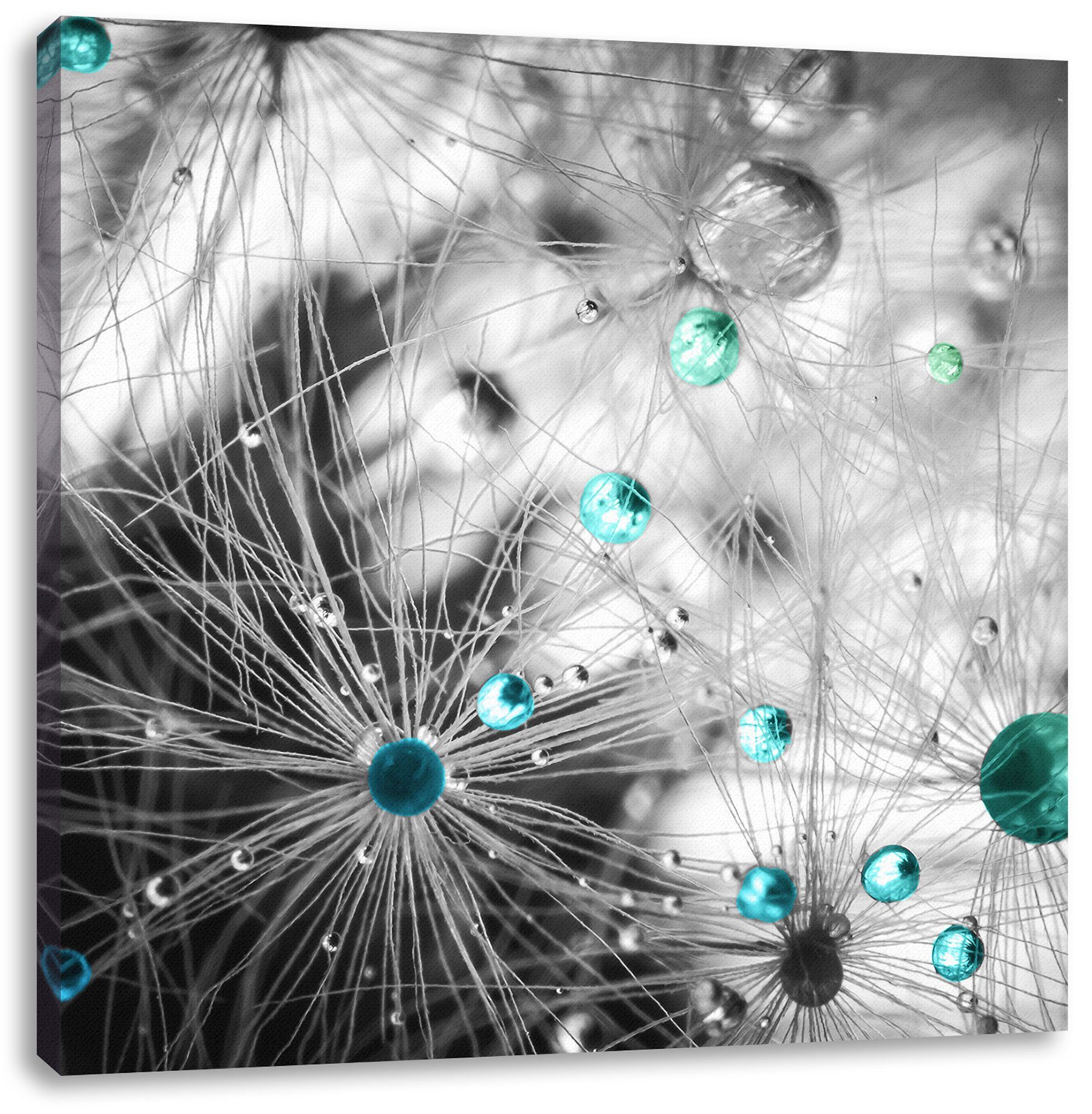 Pixxprint Leinwandbild Wassertropfen auf Pusteblume, Wassertropfen auf Pusteblume (1 St), Leinwandbild fertig bespannt, inkl. Zackenaufhänger